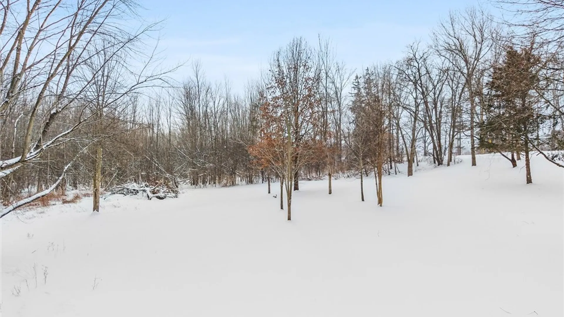 Property at 6982 Webster Road, Auburn, NY 13021 32