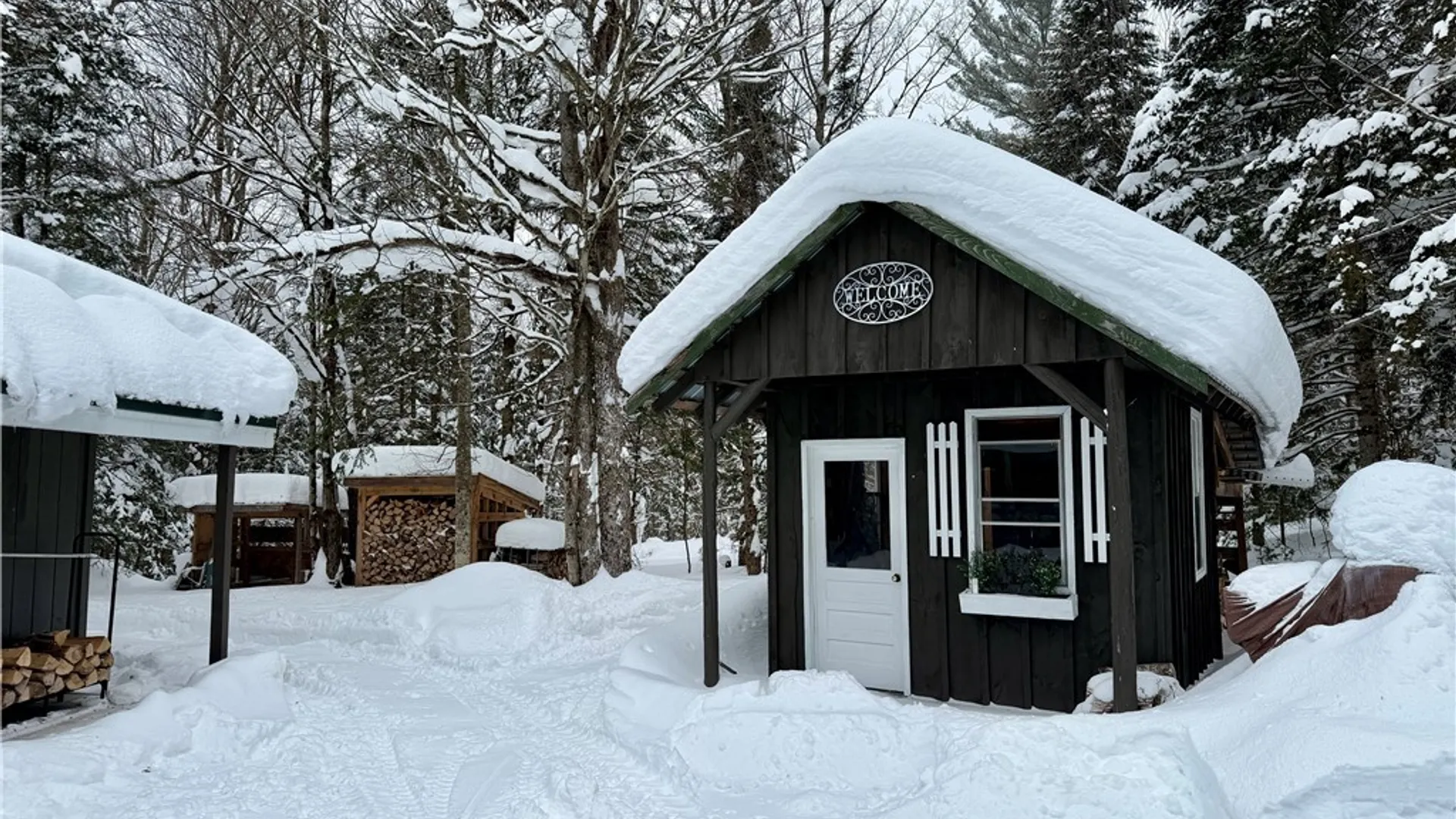 Property at 8621 Number Four Road, Watson, NY 13367 42