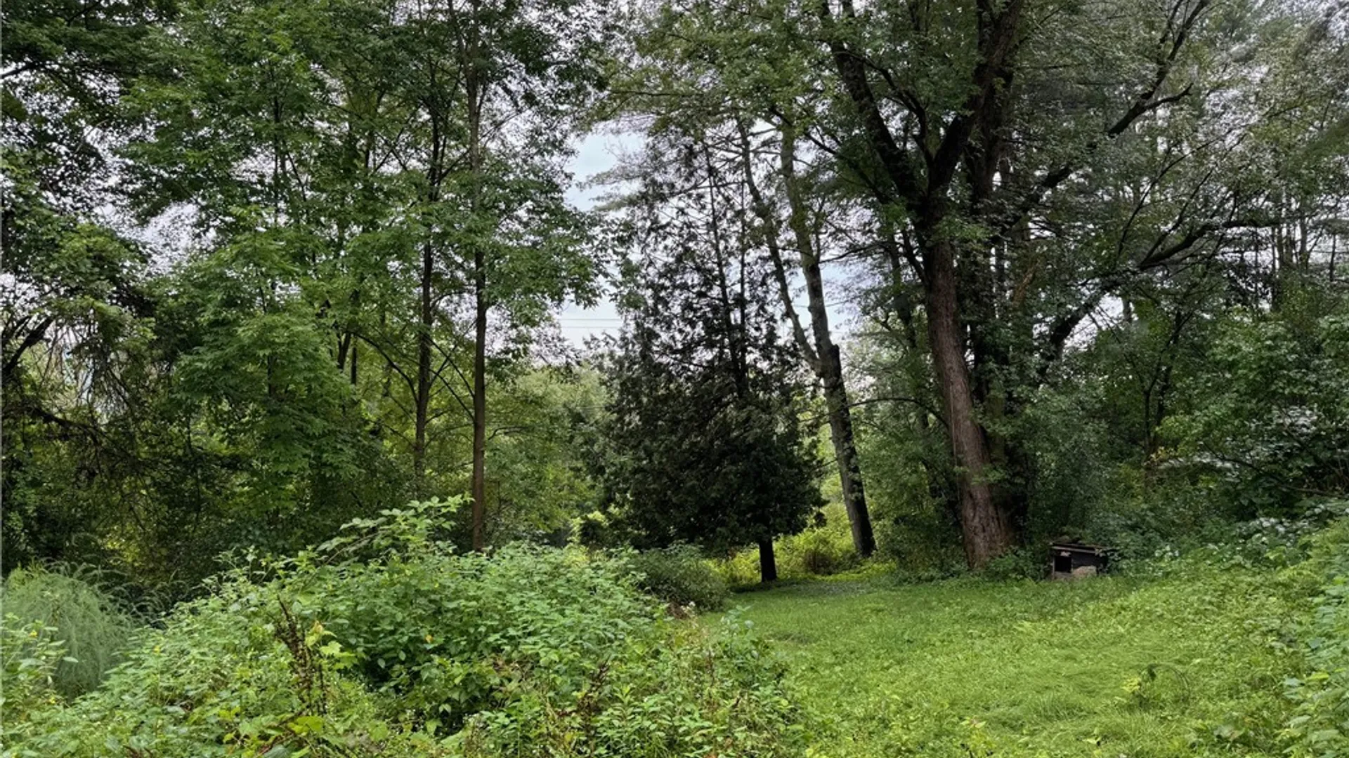 Property at 881 State Highway 8, Guilford, NY 13809 39