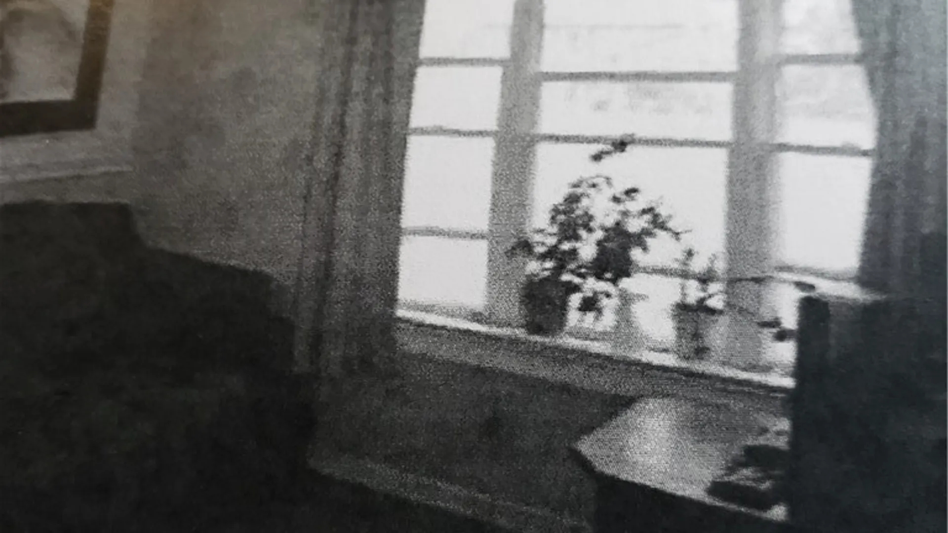 Property at 3574 Ridge Road, Williamson, NY 14589 11