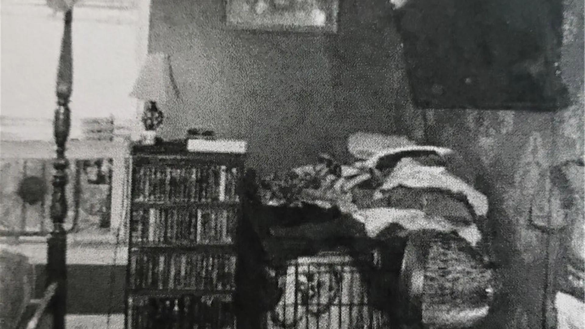 Property at 3574 Ridge Road, Williamson, NY 14589 12