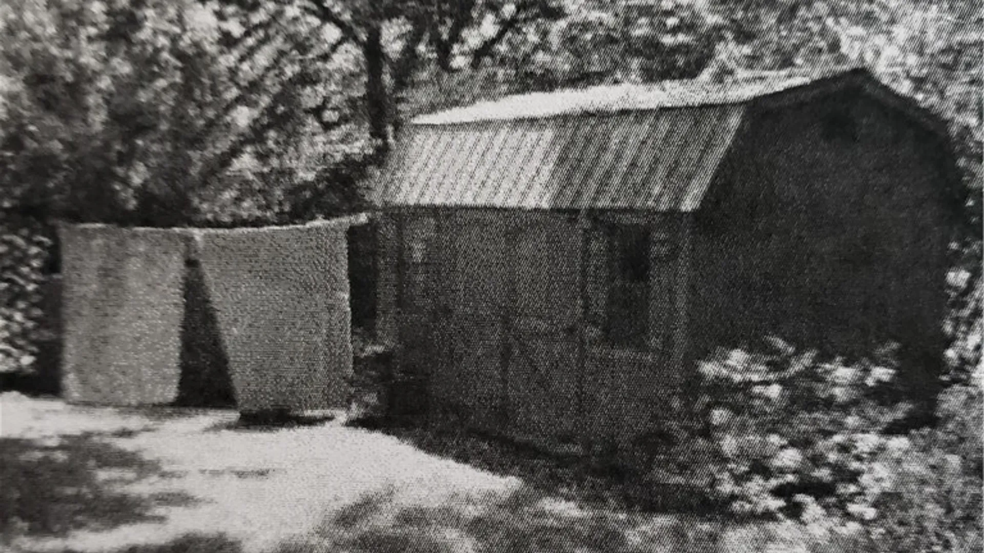 Property at 3574 Ridge Road, Williamson, NY 14589 15