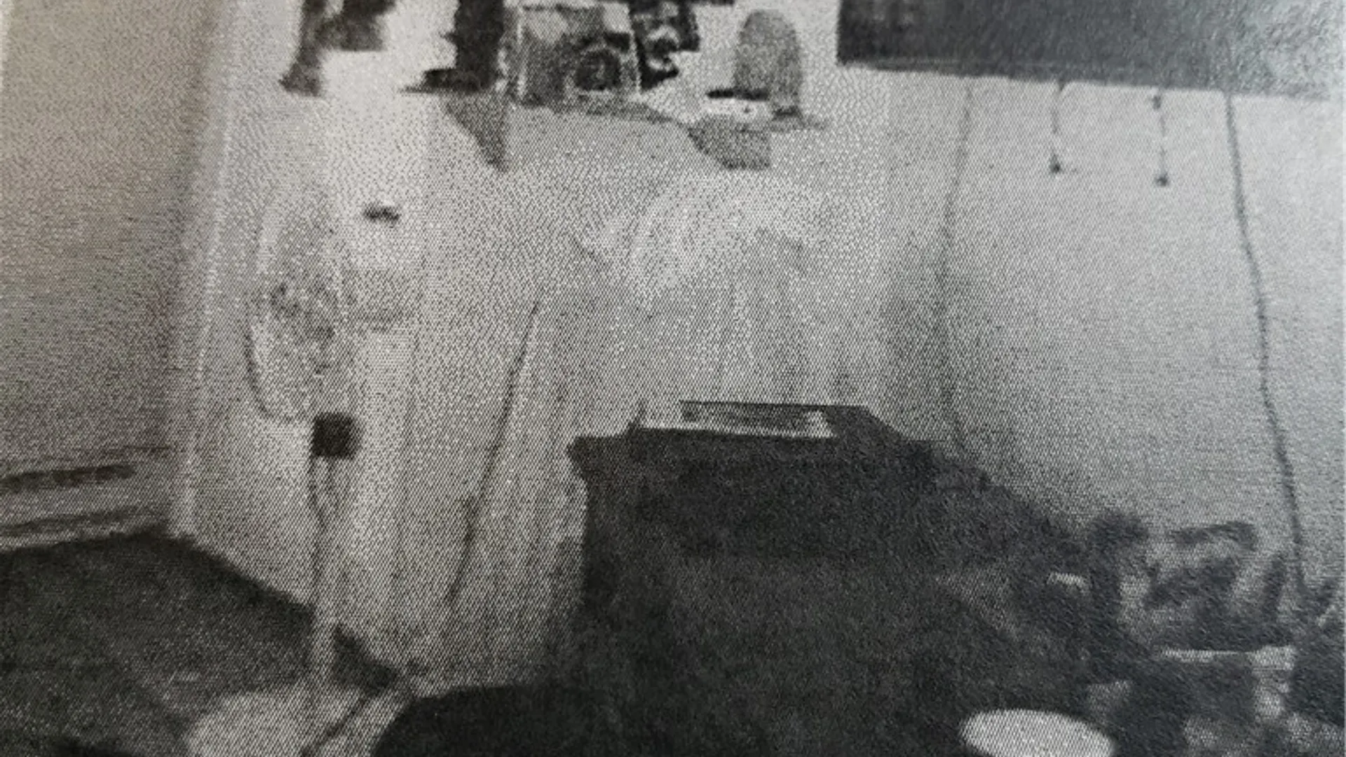 Property at 3574 Ridge Road, Williamson, NY 14589 18