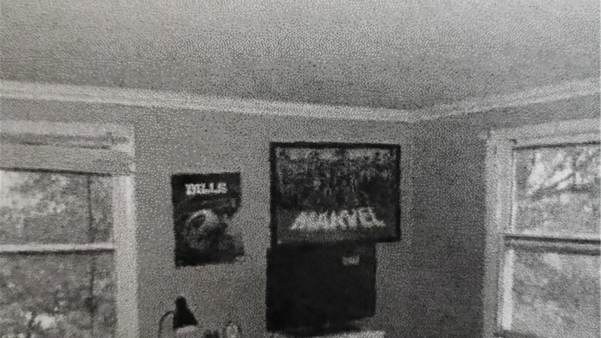 Property at 3574 Ridge Road, Williamson, NY 14589 20