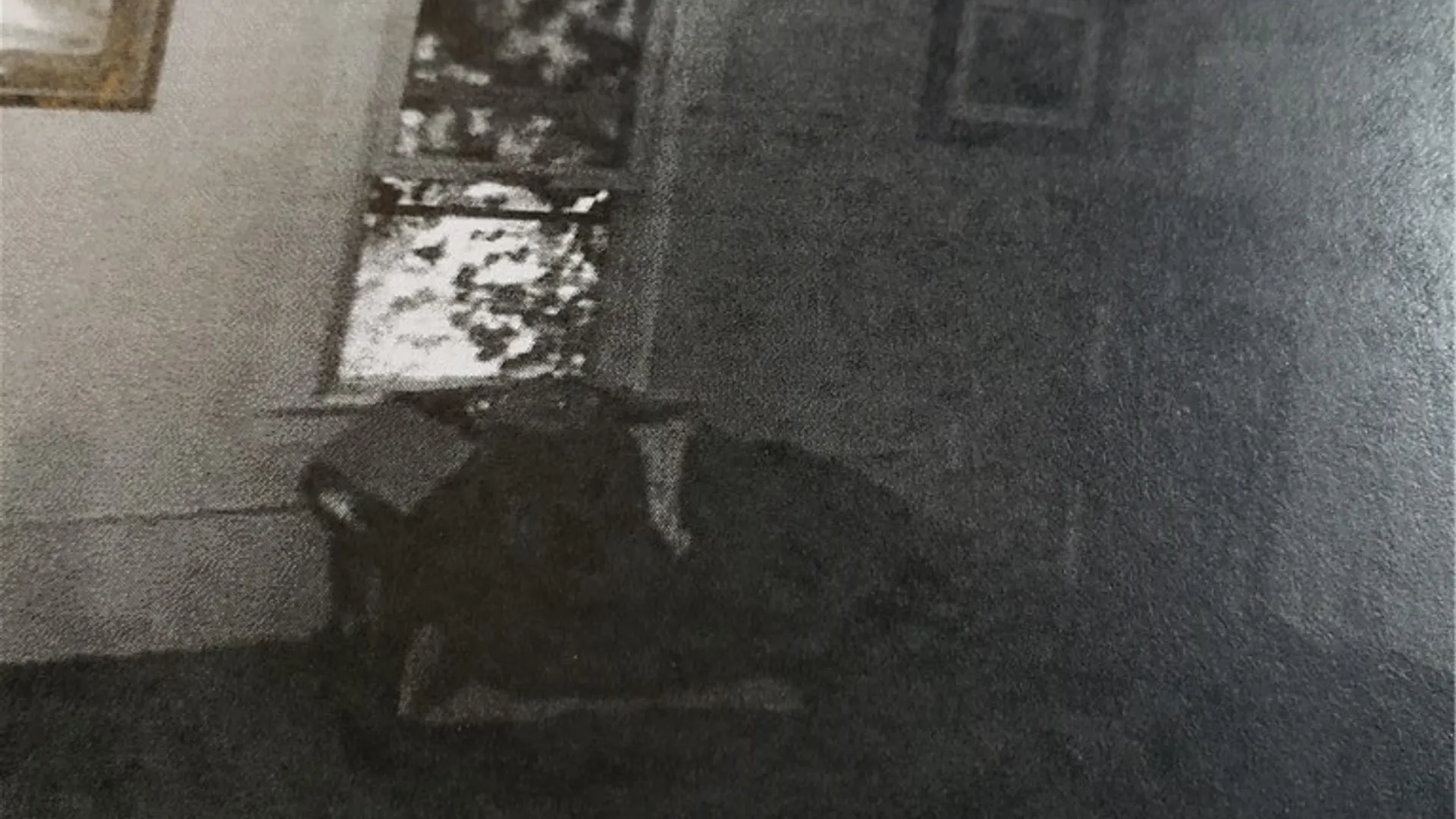 Property at 3574 Ridge Road, Williamson, NY 14589 21