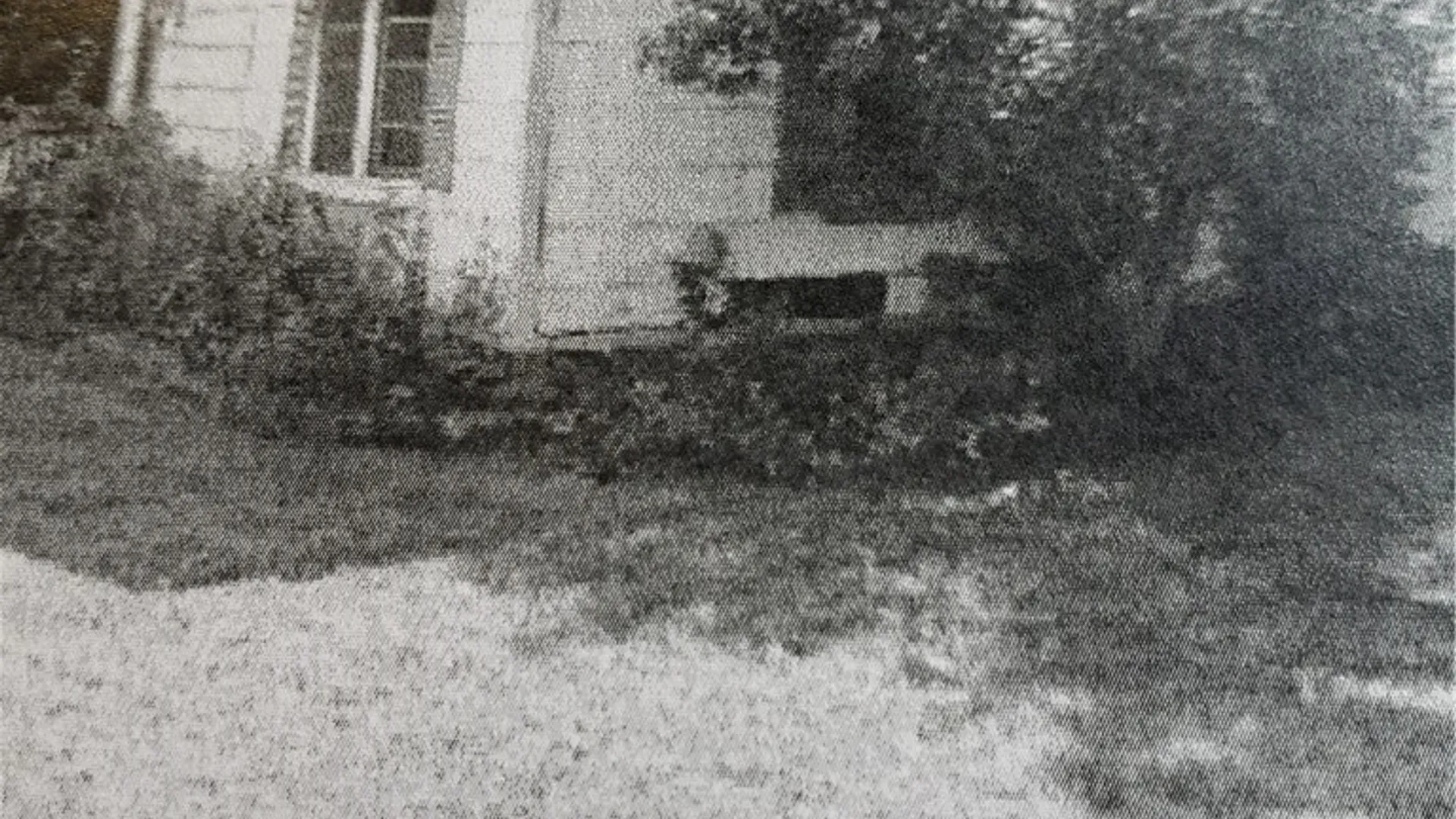 Property at 3574 Ridge Road, Williamson, NY 14589 3