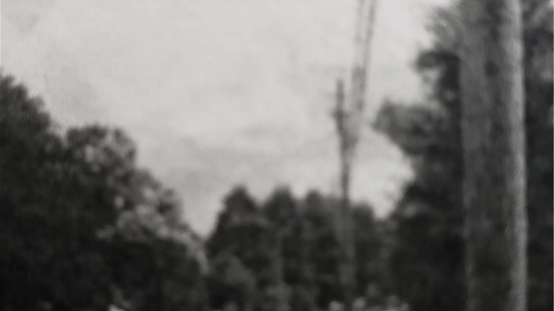 Property at 3574 Ridge Road, Williamson, NY 14589 5