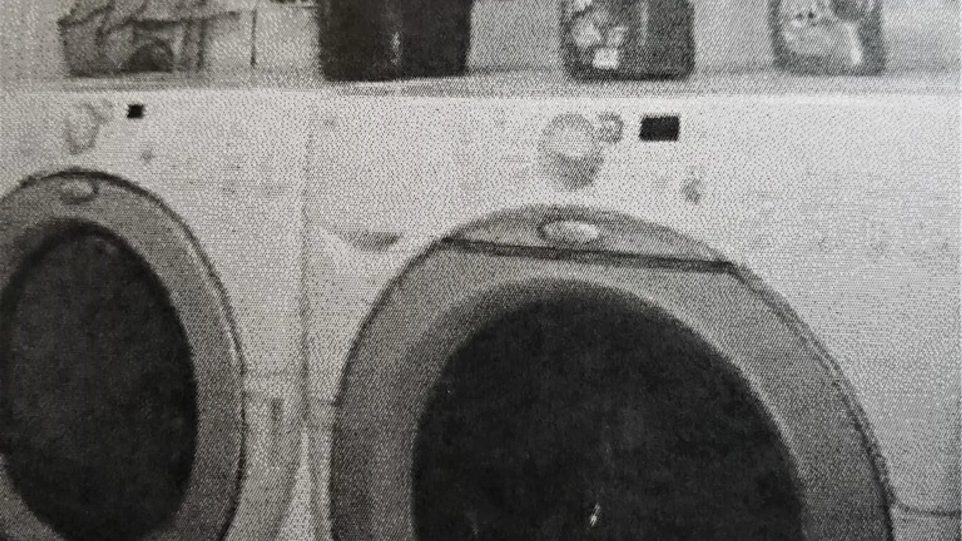 Property at 3574 Ridge Road, Williamson, NY 14589 7