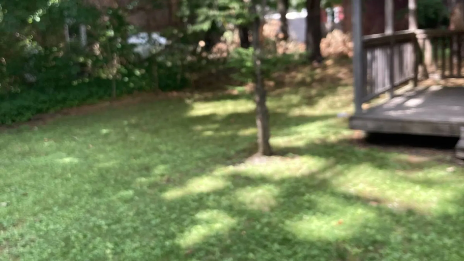 Property at 3 Main Street, Cherry Valley, NY 13320 12