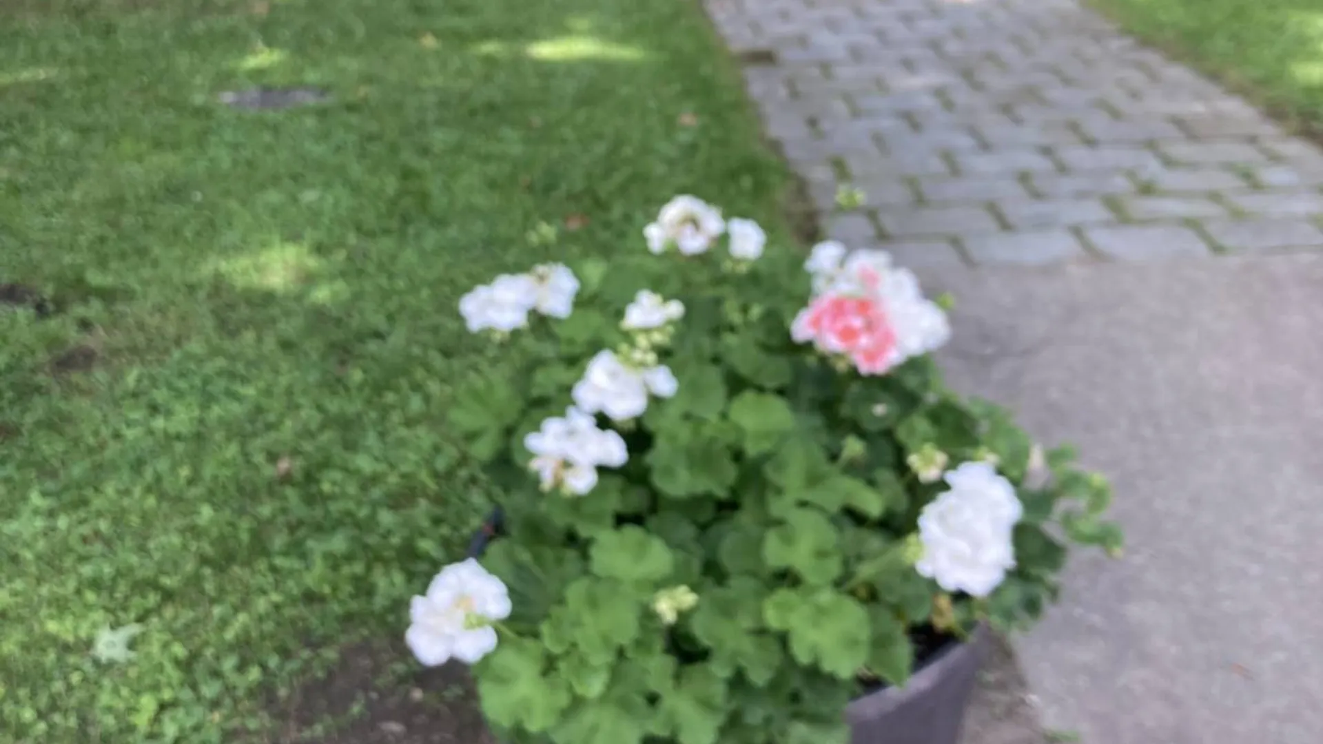 Property at 3 Main Street, Cherry Valley, NY 13320 18