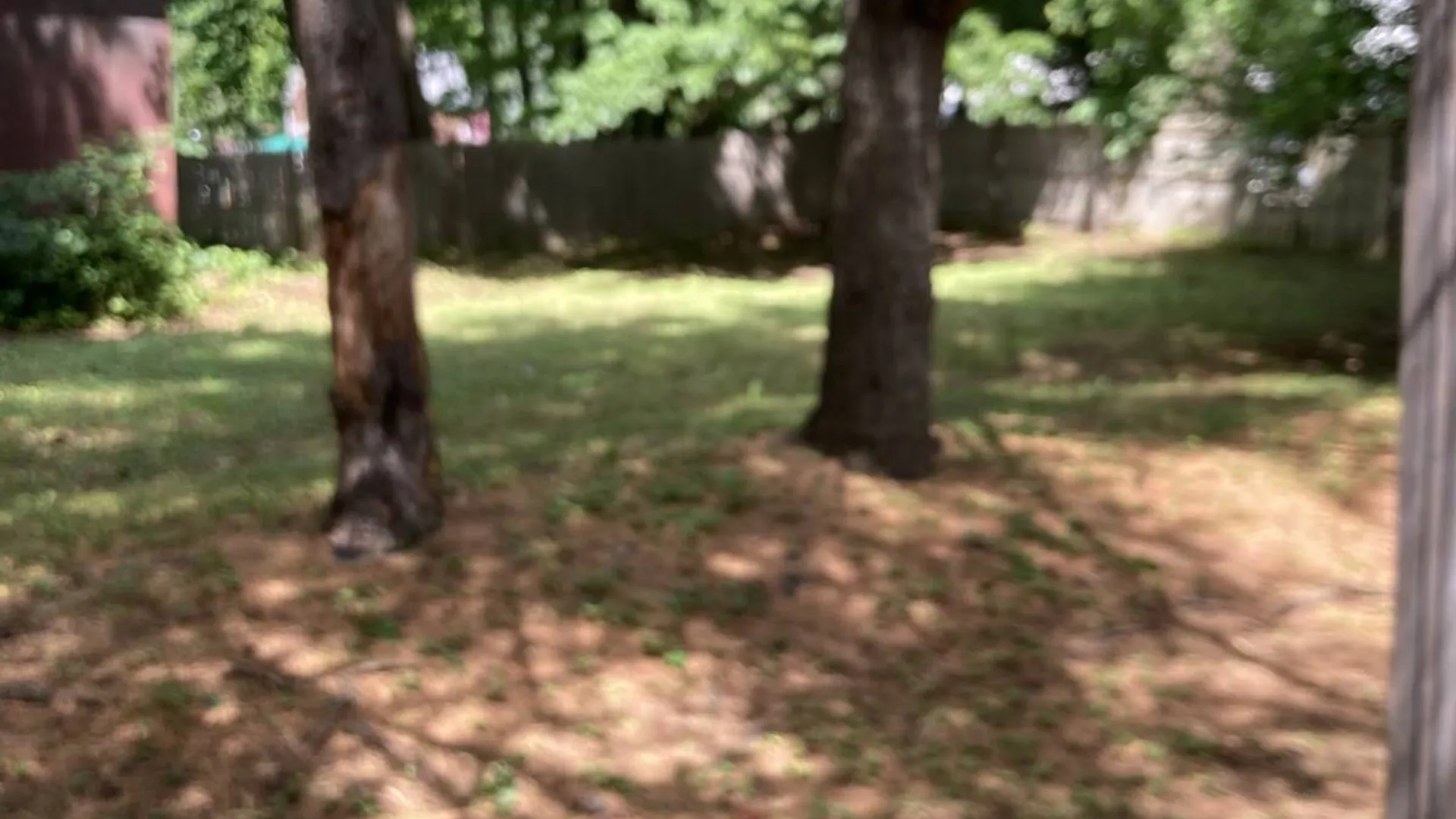 Property at 3 Main Street, Cherry Valley, NY 13320 5