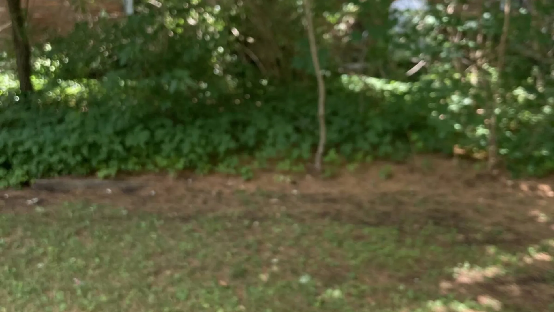 Property at 3 Main Street, Cherry Valley, NY 13320 6