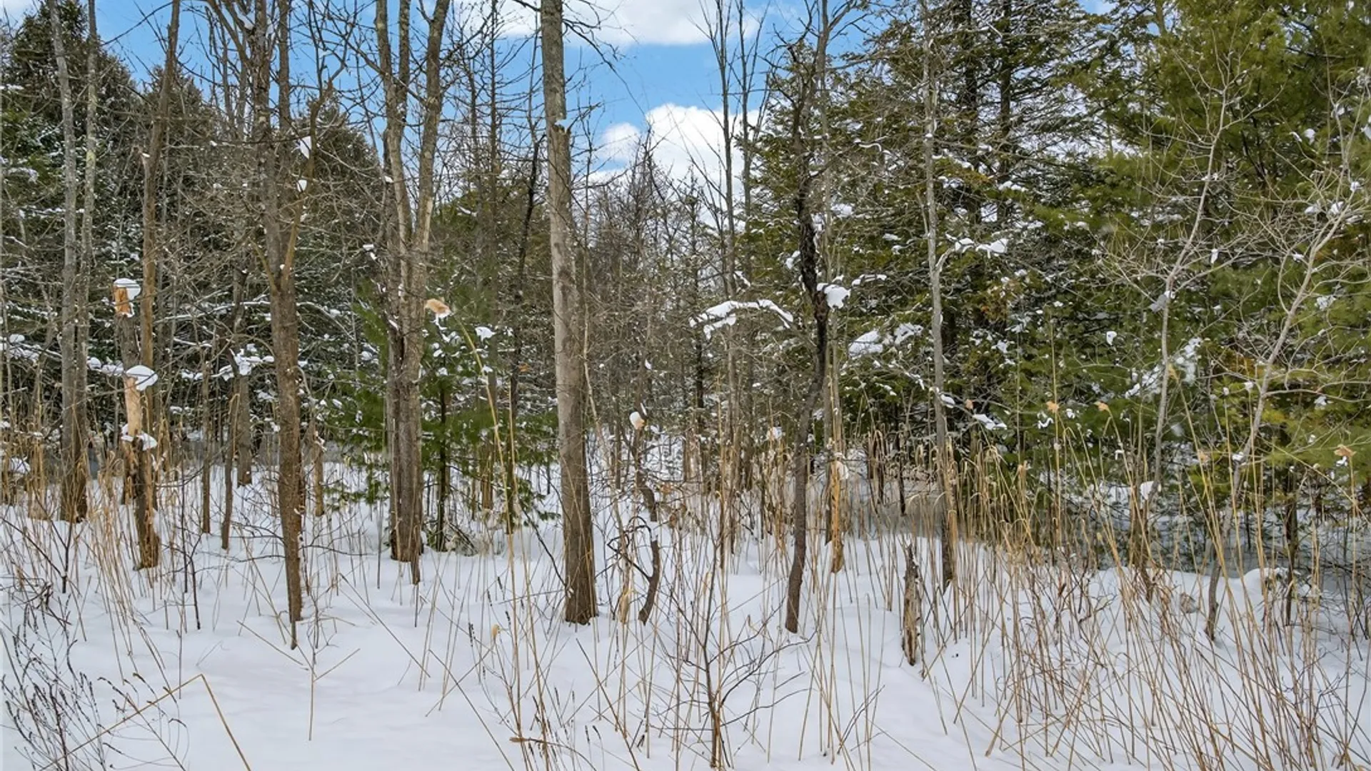 Property at 193 County Route 11, West Monroe, NY 13167 3