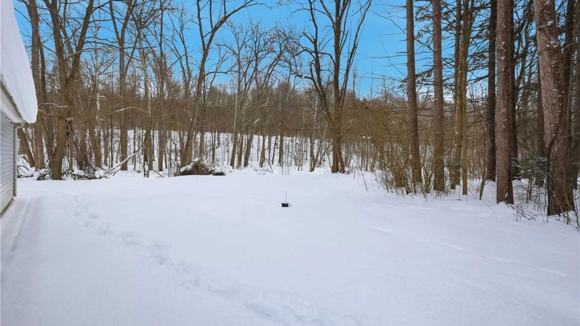 Property at 6671 Olean Road, Wales, NY 14139 31