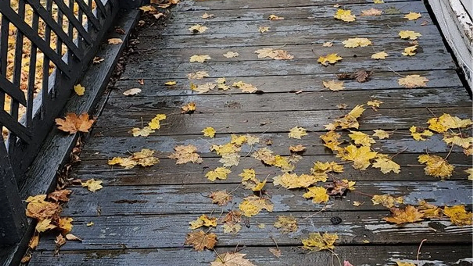 Property at 58 Thorn St, Rochester, NY 14613 4