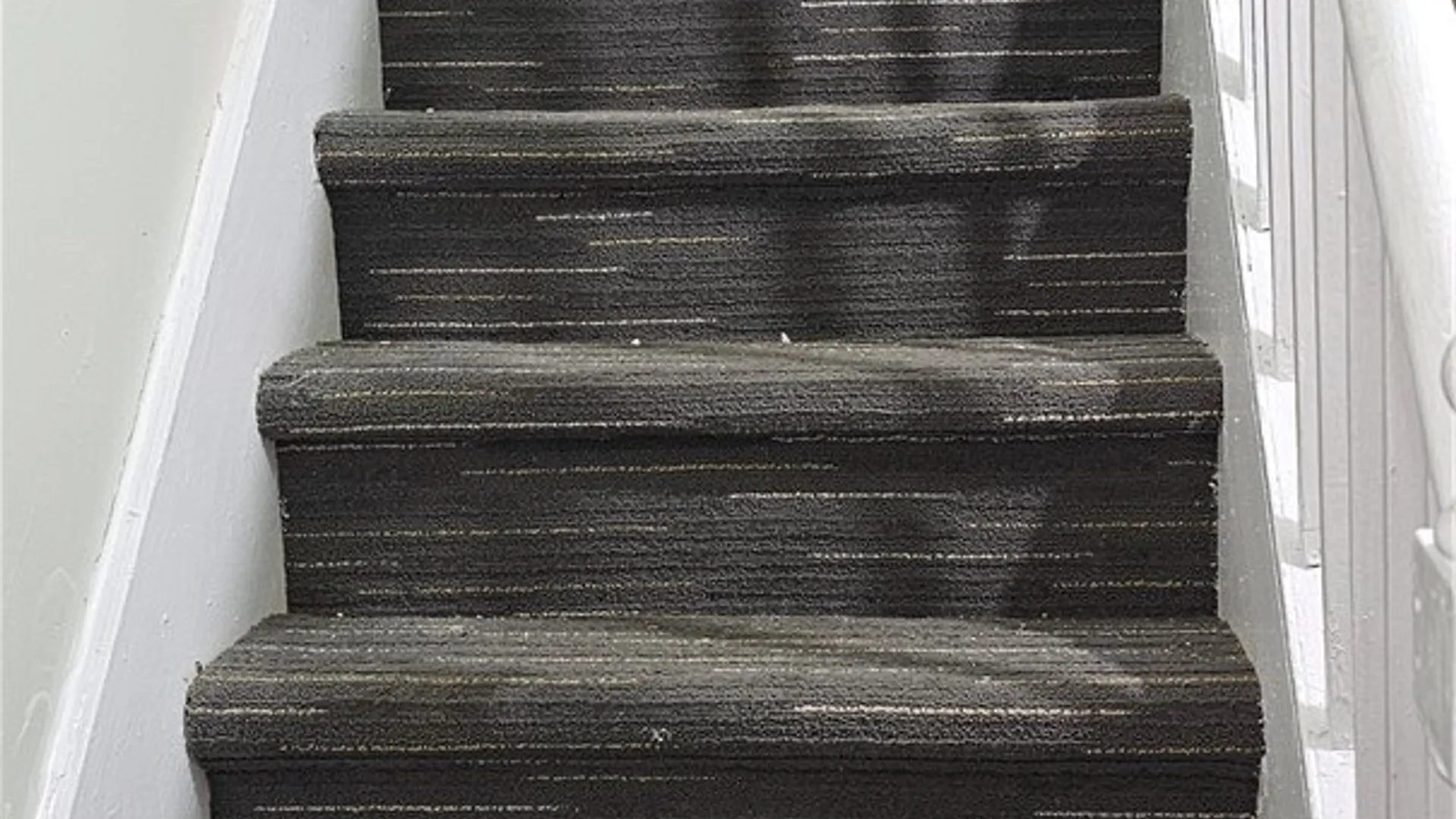 Property at 58 Thorn St, Rochester, NY 14613 5