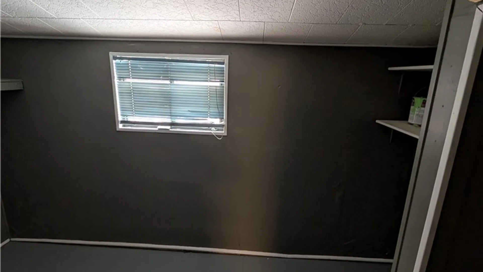 Property at 105 Kelburn Street, Buffalo, NY 14206 8