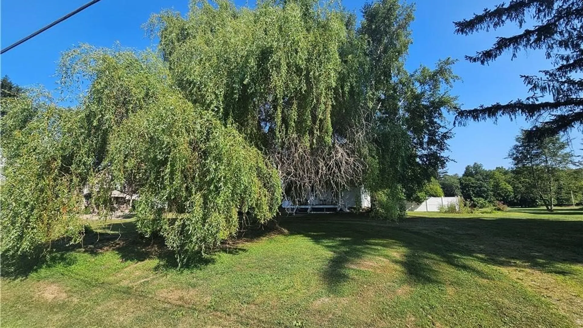 Property at 204 24th Street, Olean, NY 14760 6