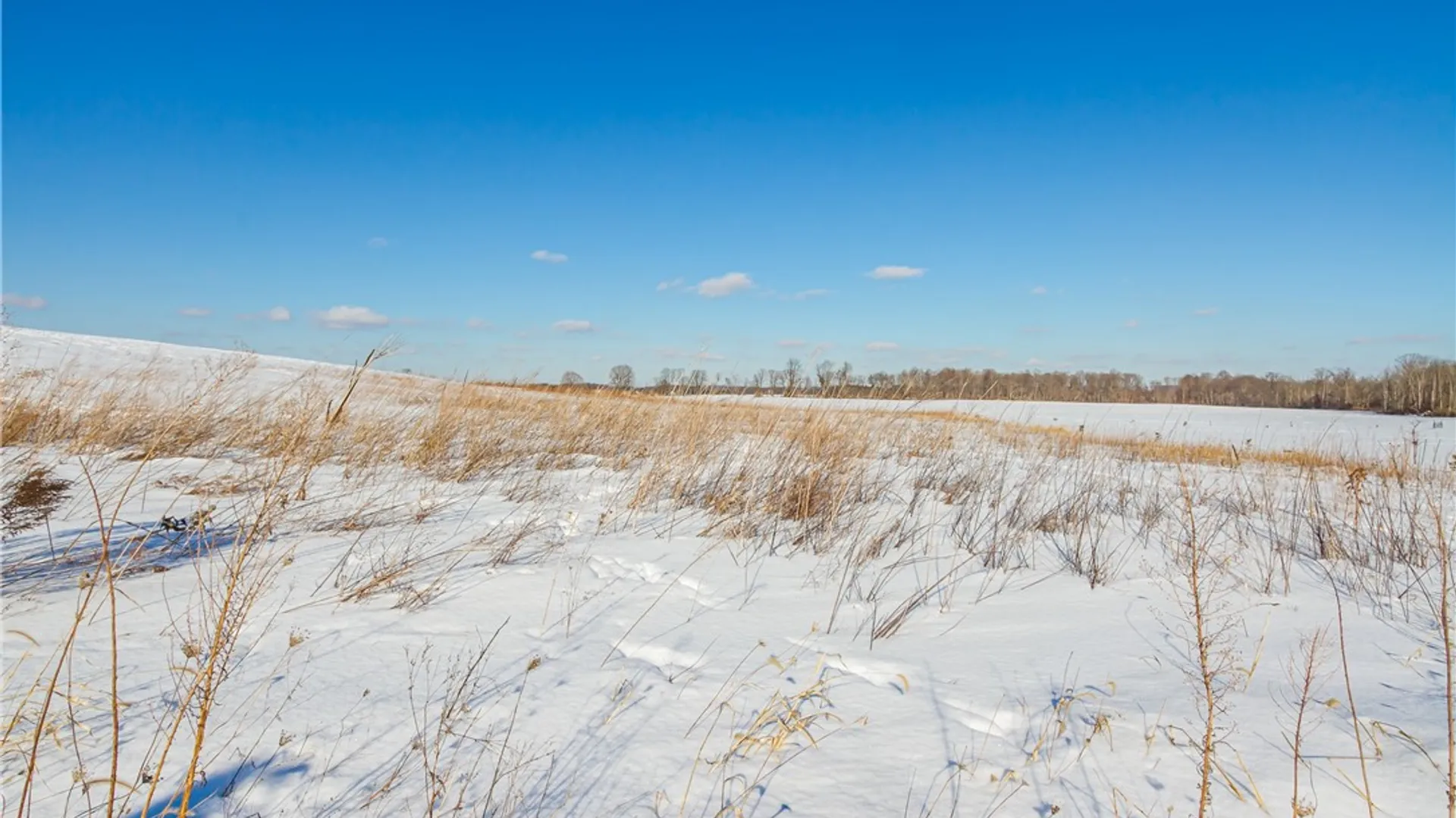 Property at Taylor Road, Mendon, NY 14472 13