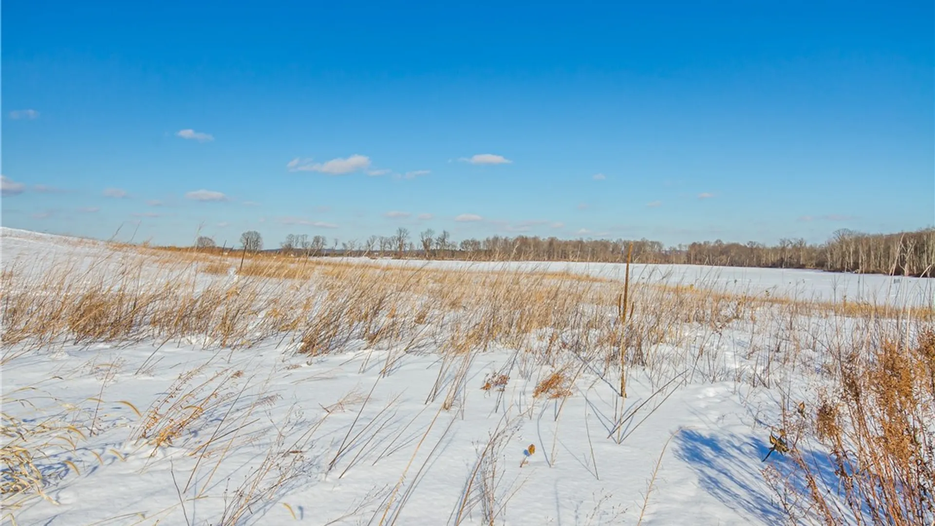 Property at Taylor Road, Mendon, NY 14472 14