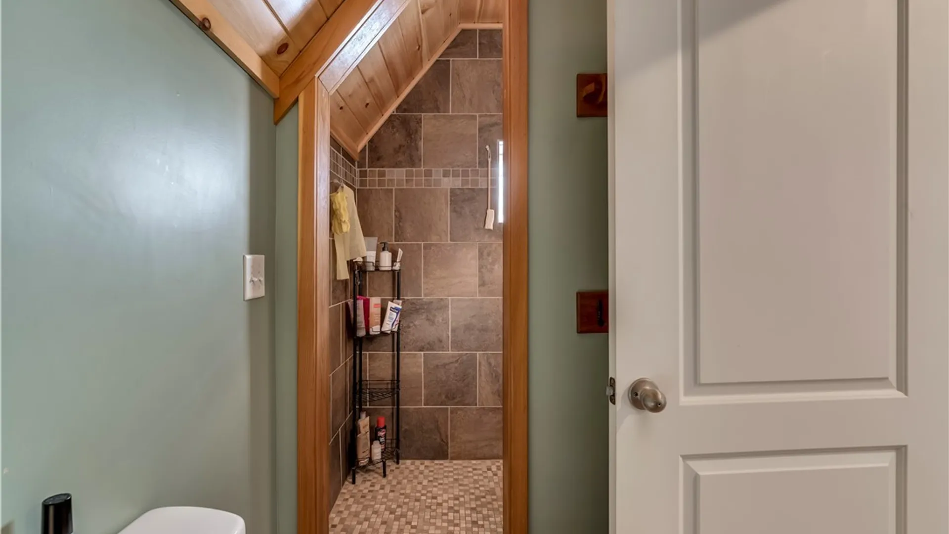 Property at 9910 Maple Avenue, Denmark, NY 13626 23