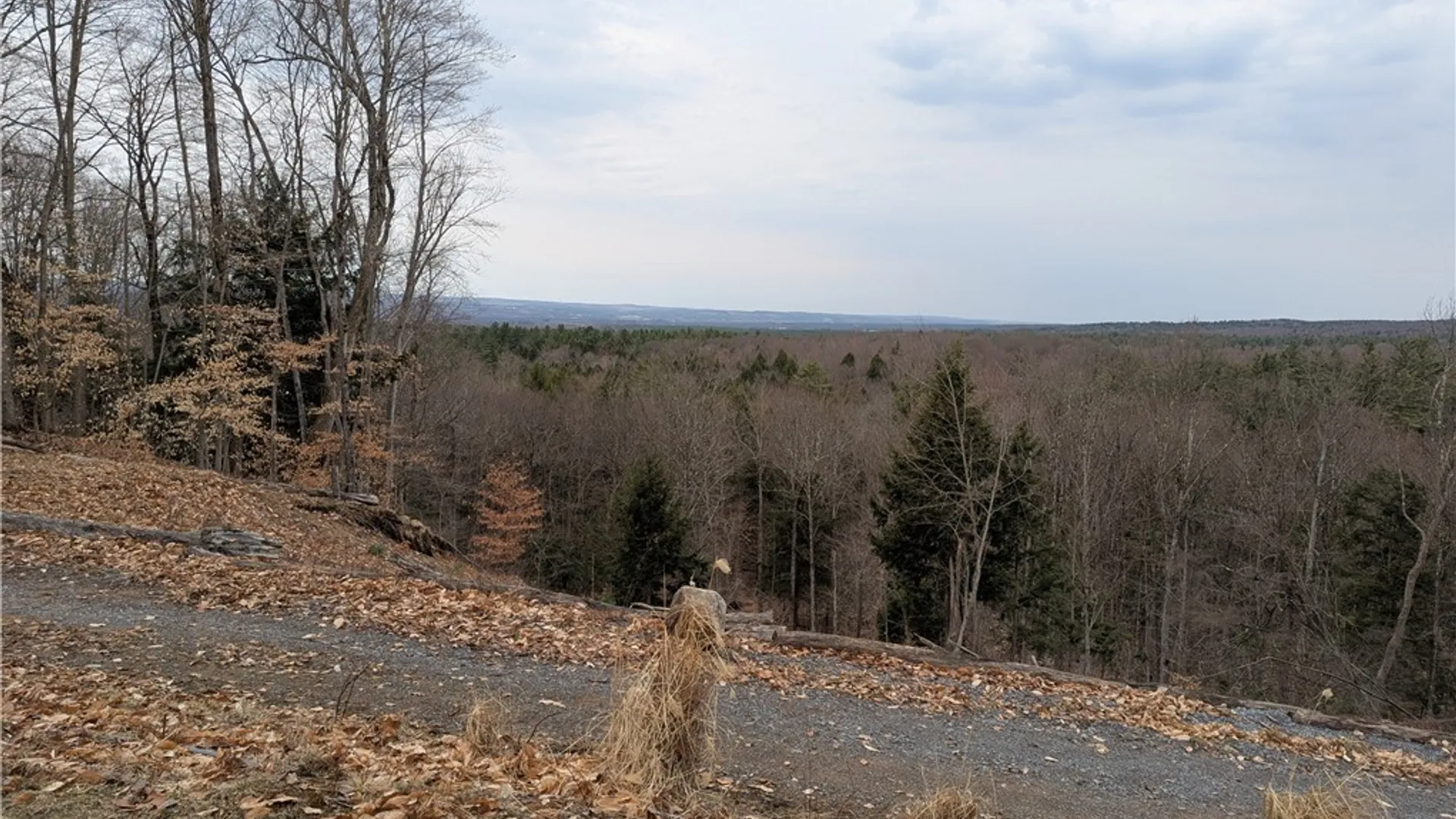 Property at 6188 Independence Lane, Greig, NY 13345 10