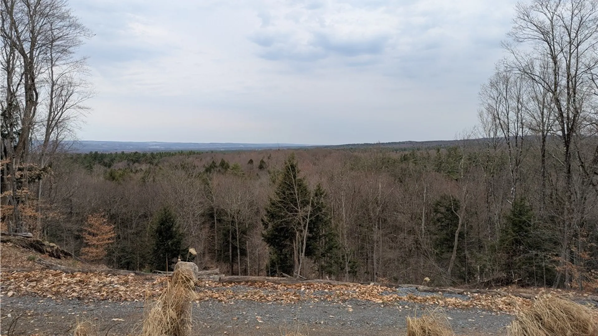 Property at 6188 Independence Lane, Greig, NY 13345 8