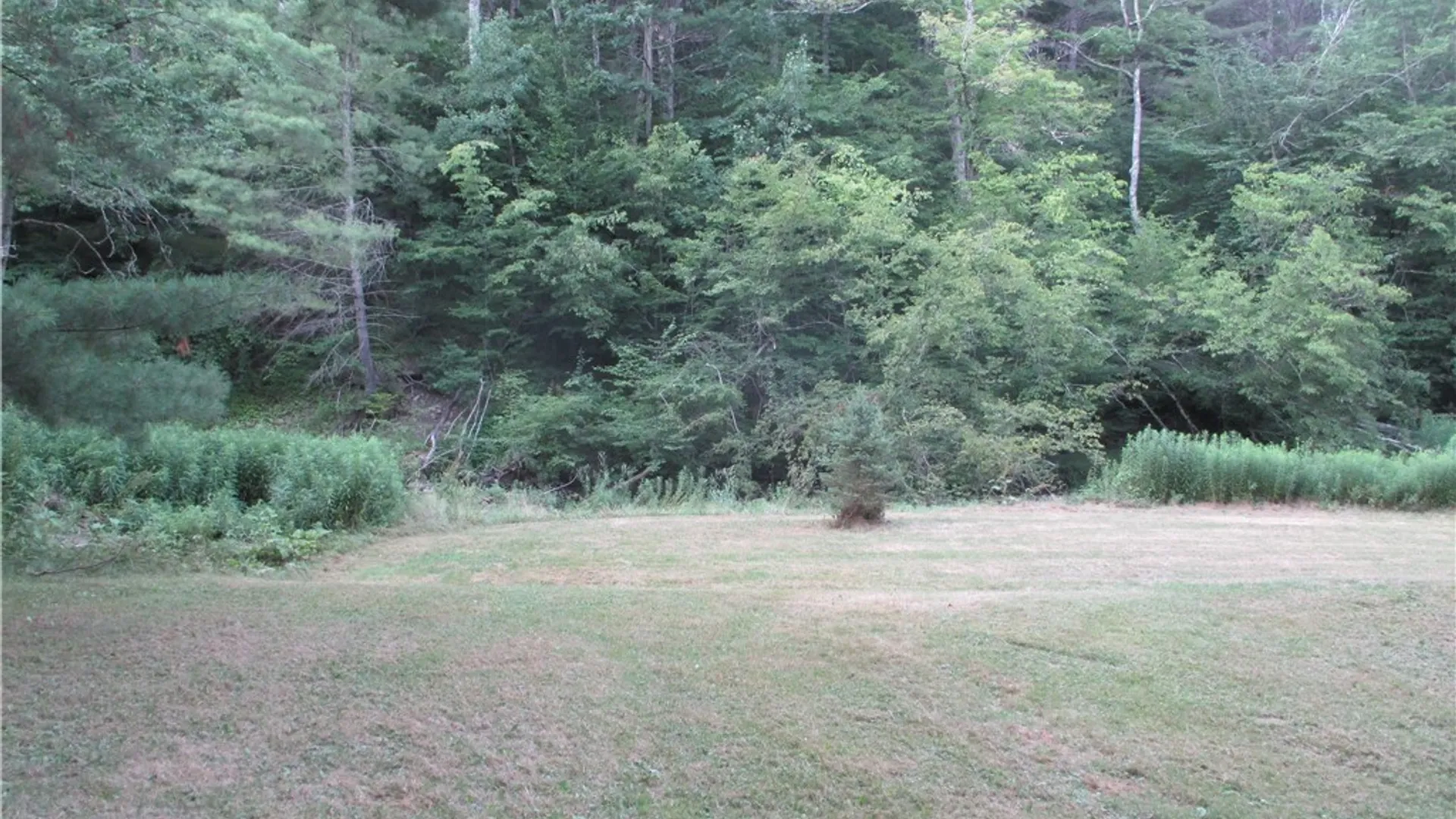 Property at 2975 State Highway 23, Laurens, NY 13861 48