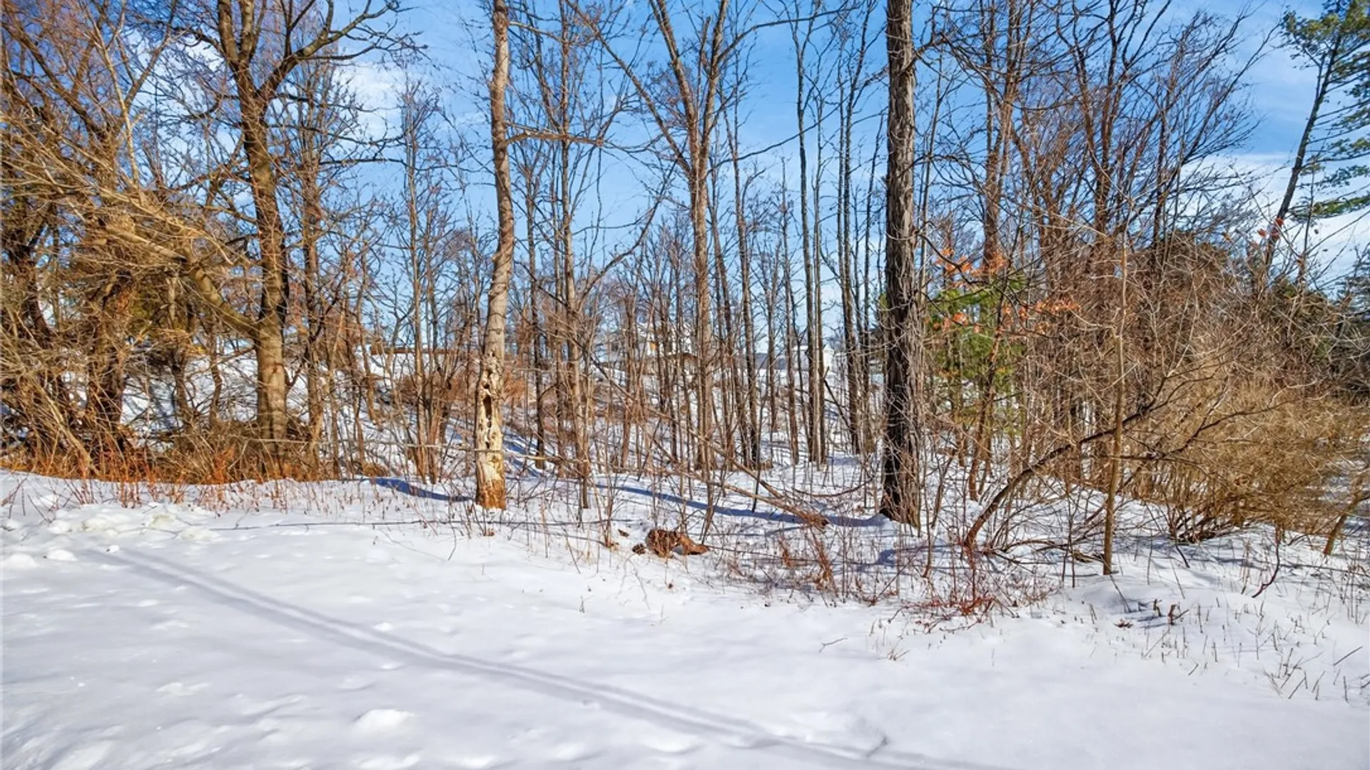 Property at Roff Hill Road, Pulteney, NY 14874 13