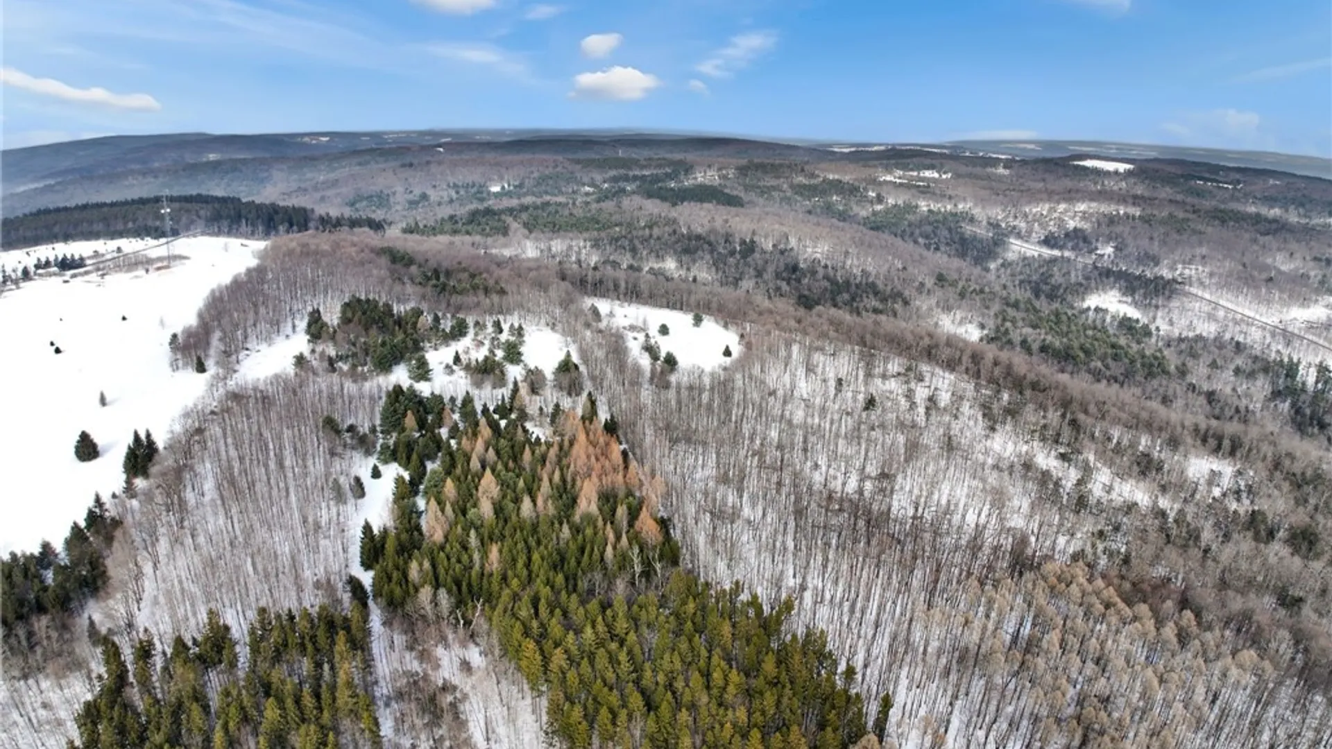 Property at 169 Irish Hill Road, Newfield, NY 14867 10