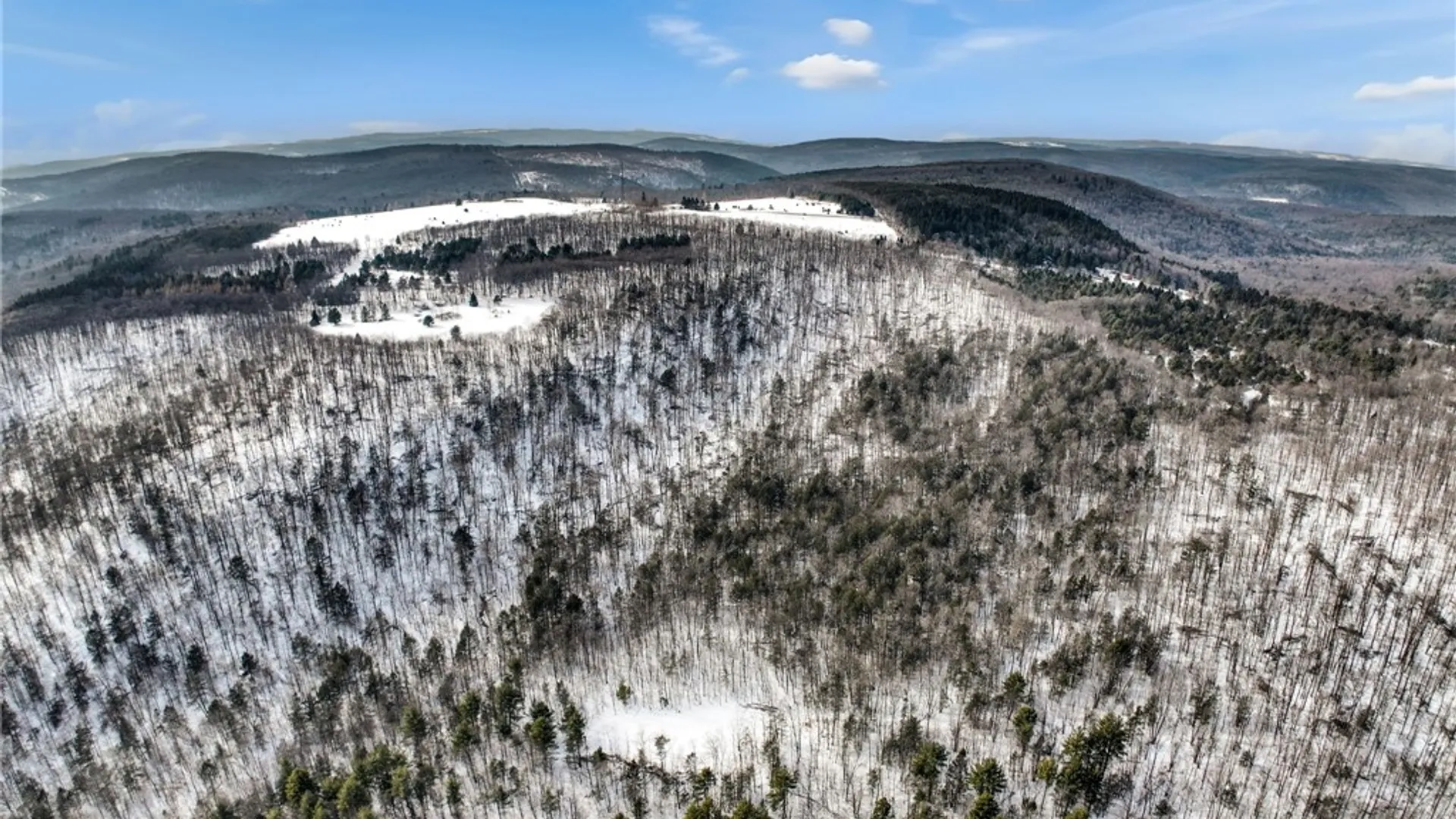 Property at 169 Irish Hill Road, Newfield, NY 14867 12