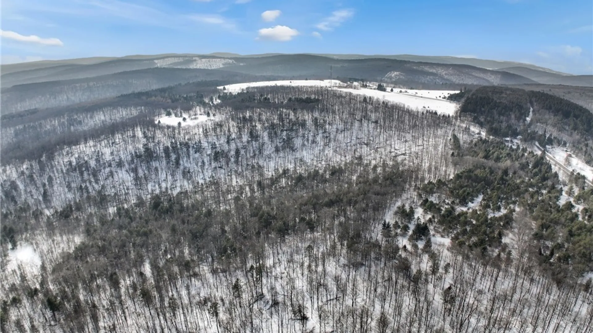 Property at 169 Irish Hill Road, Newfield, NY 14867 13