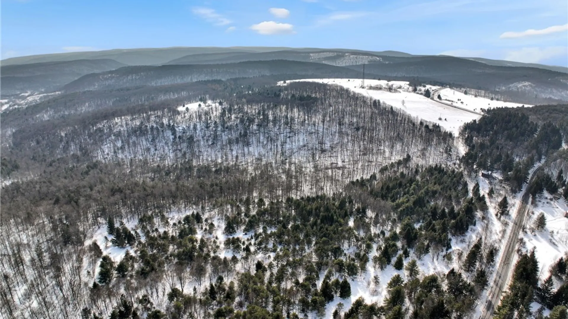 Property at 169 Irish Hill Road, Newfield, NY 14867 14