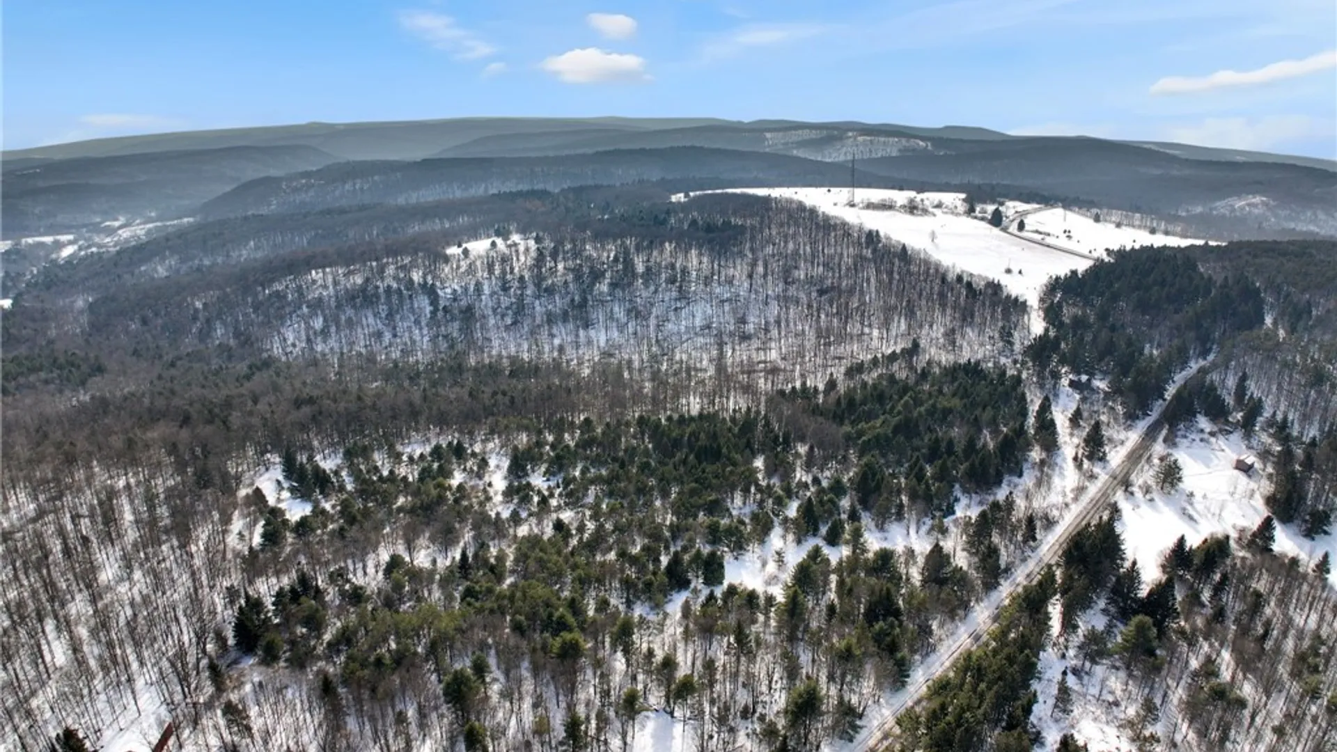 Property at 169 Irish Hill Road, Newfield, NY 14867 15