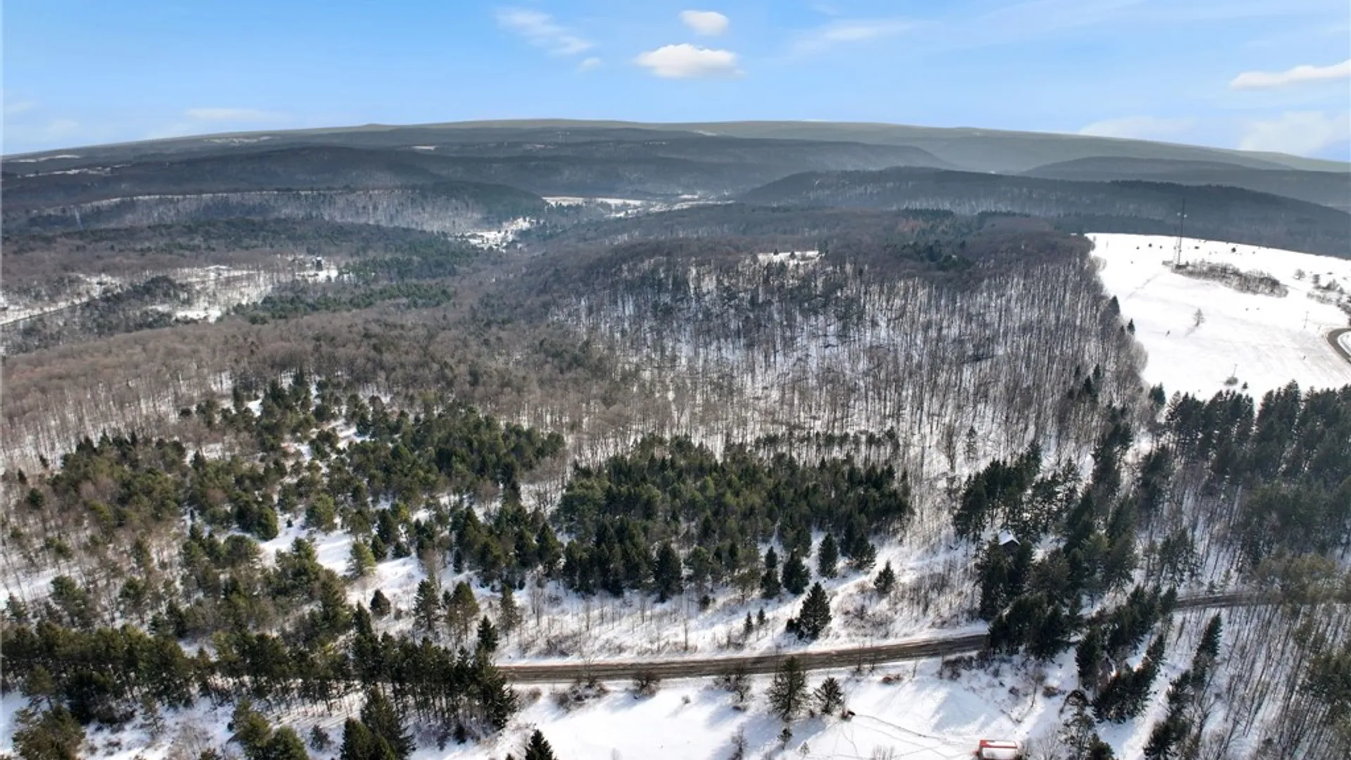 Property at 169 Irish Hill Road, Newfield, NY 14867 16