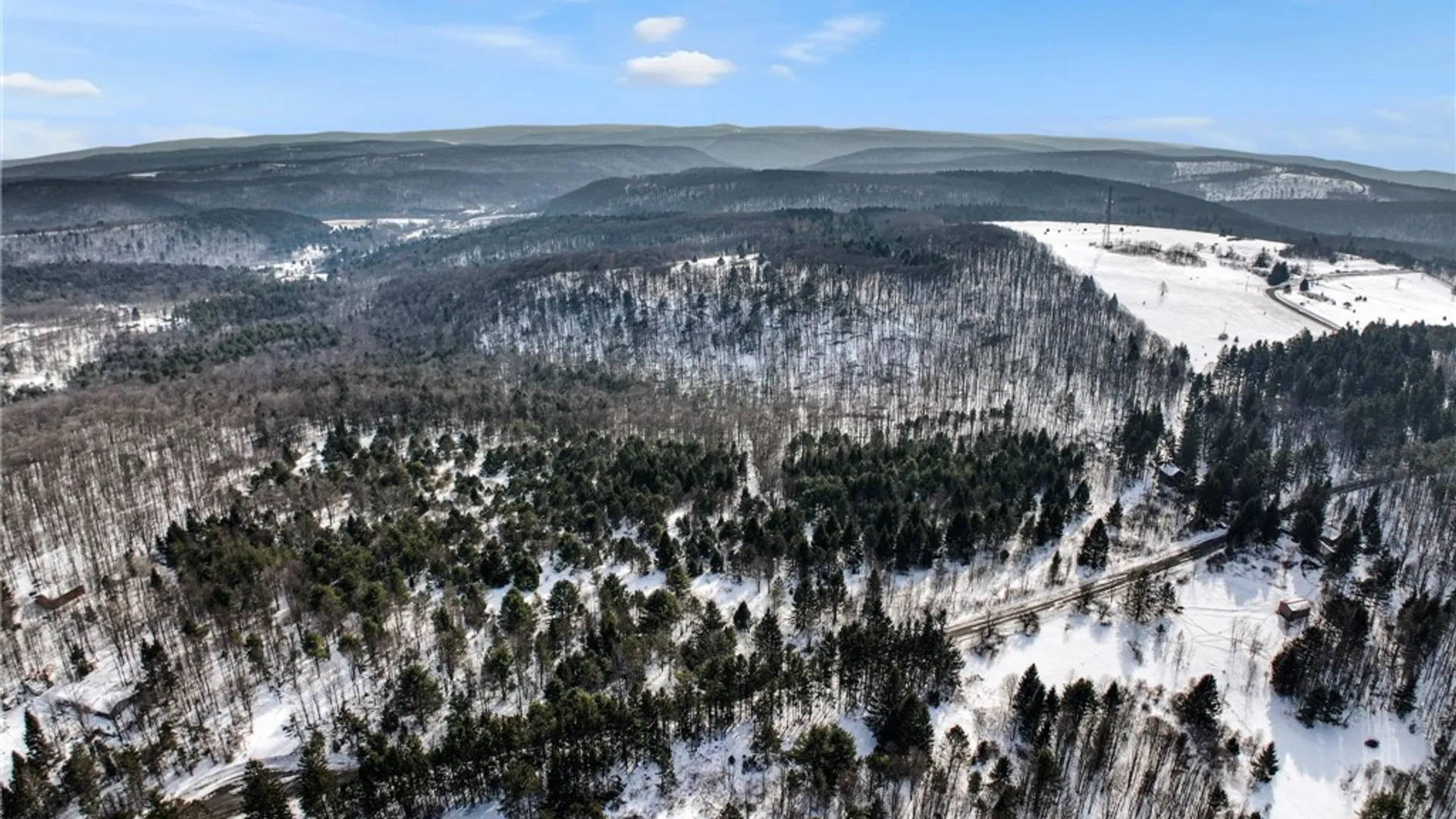 Property at 169 Irish Hill Road, Newfield, NY 14867 17