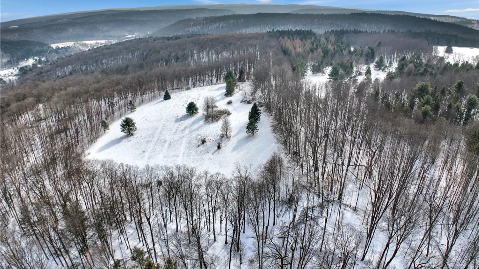 Property at 169 Irish Hill Road, Newfield, NY 14867 18