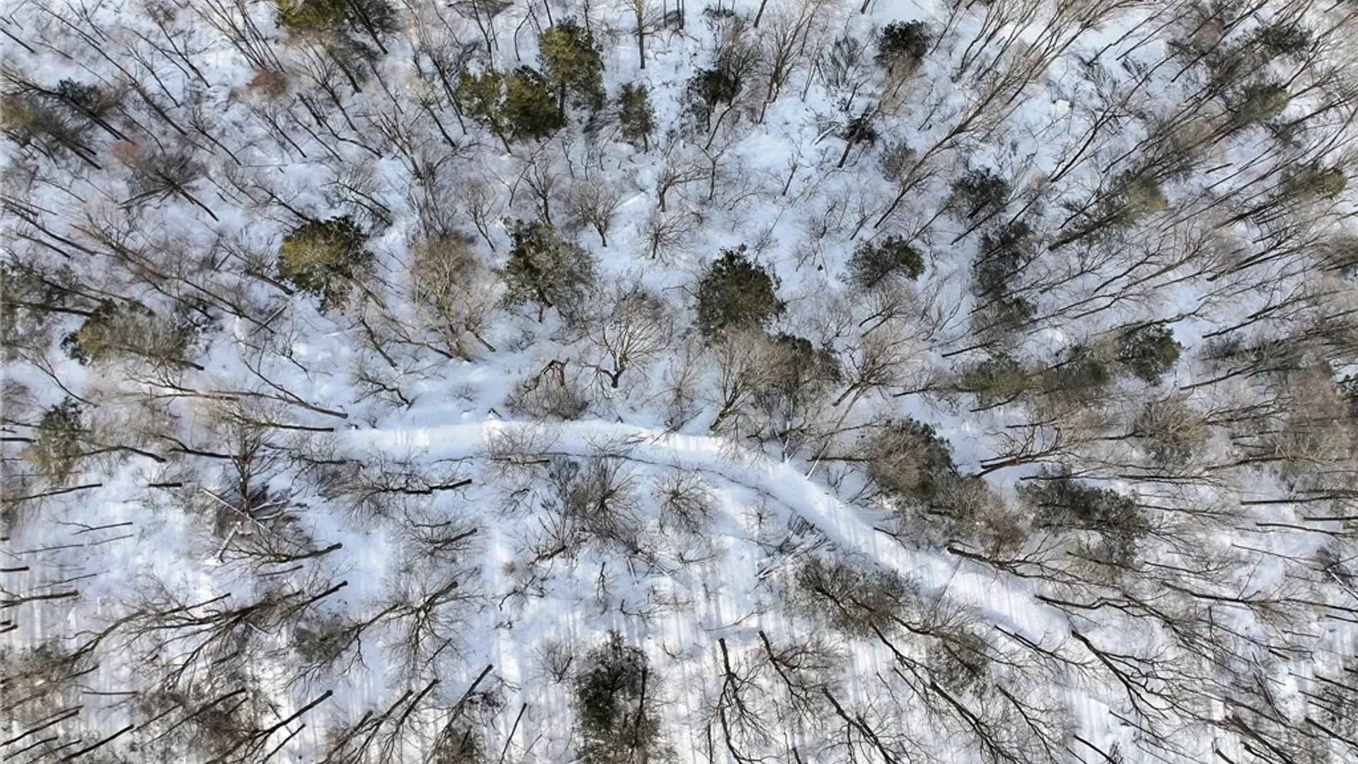 Property at 169 Irish Hill Road, Newfield, NY 14867 20