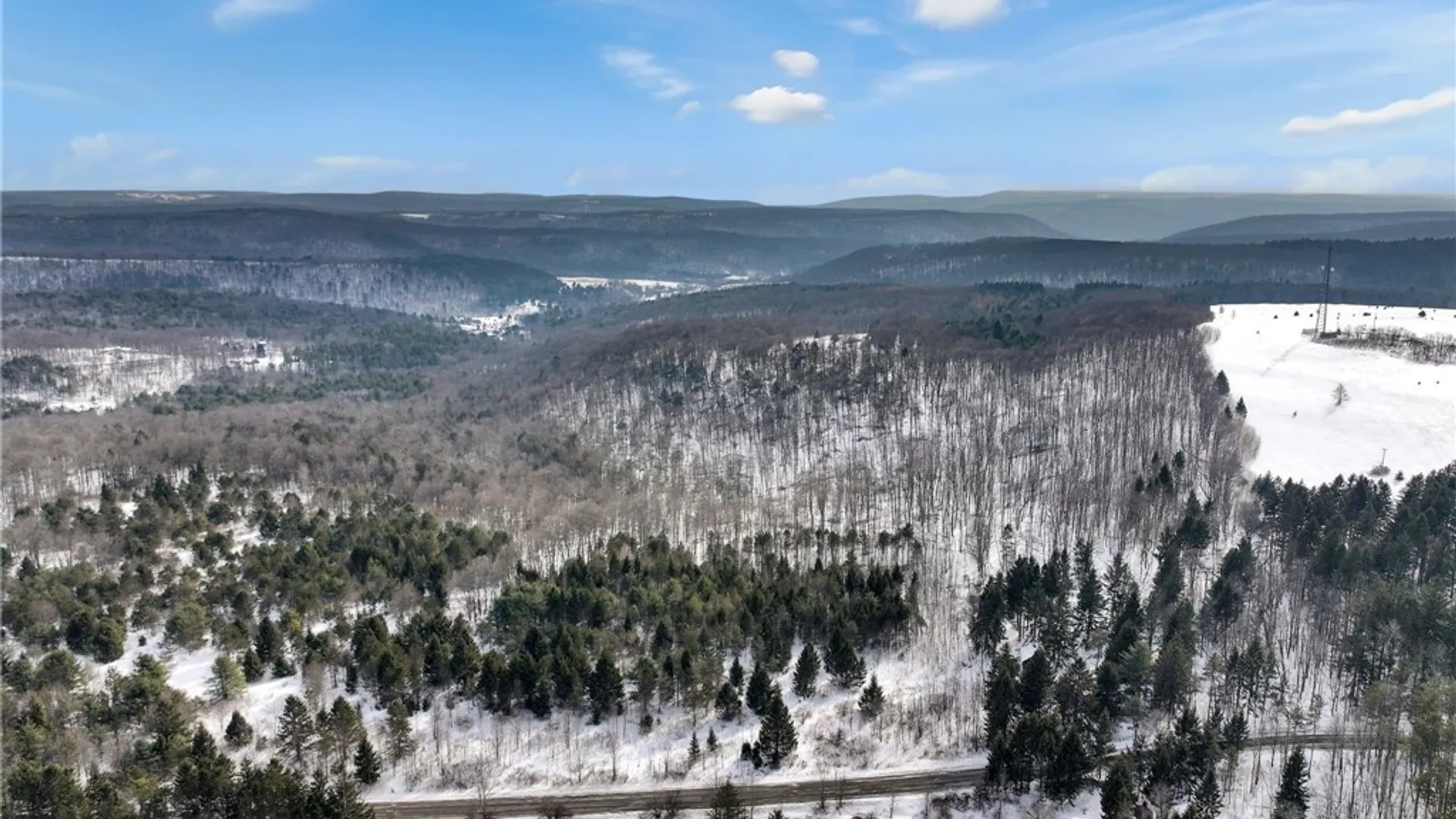 Property at 169 Irish Hill Road, Newfield, NY 14867 4