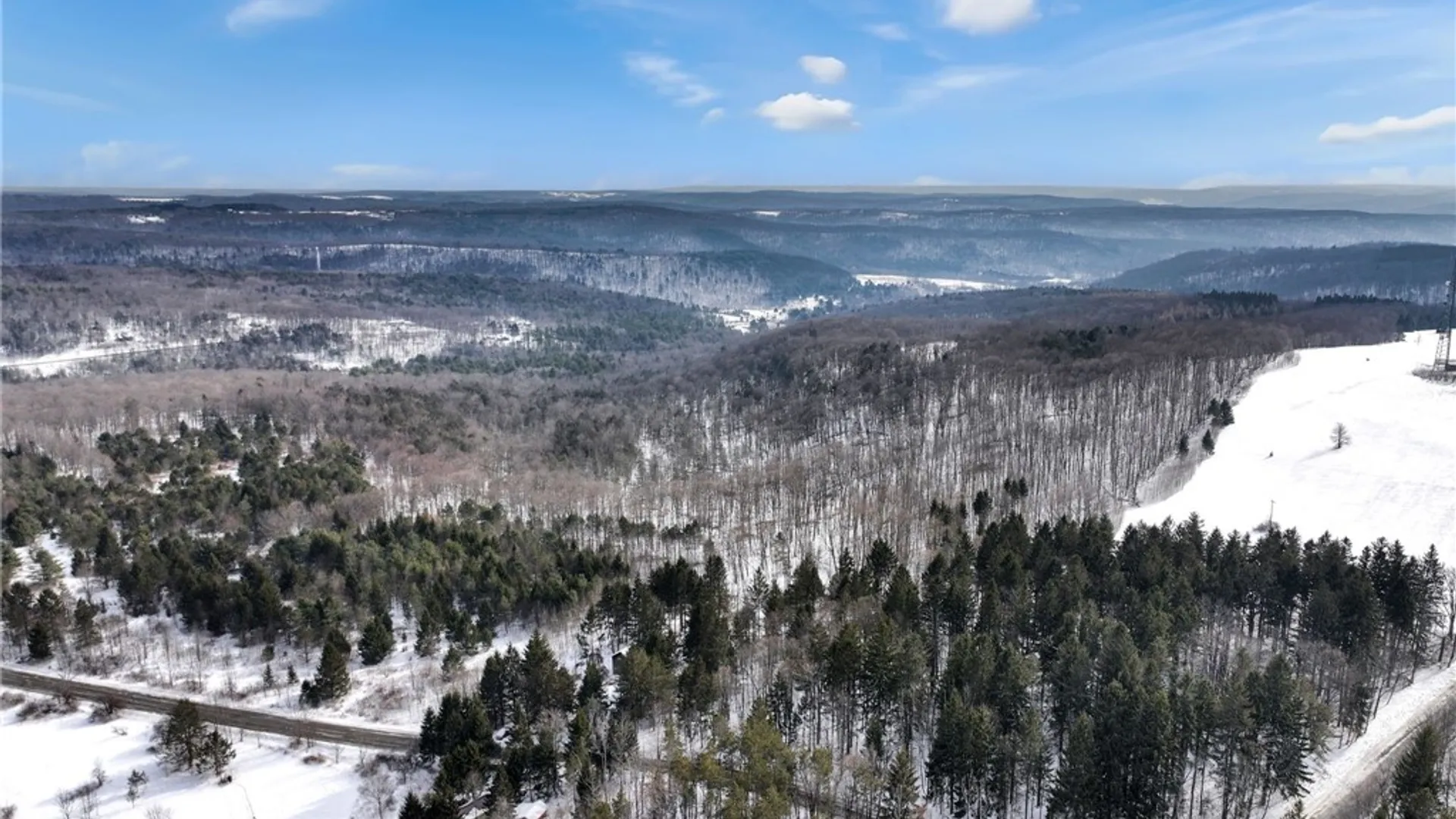 Property at 169 Irish Hill Road, Newfield, NY 14867 5