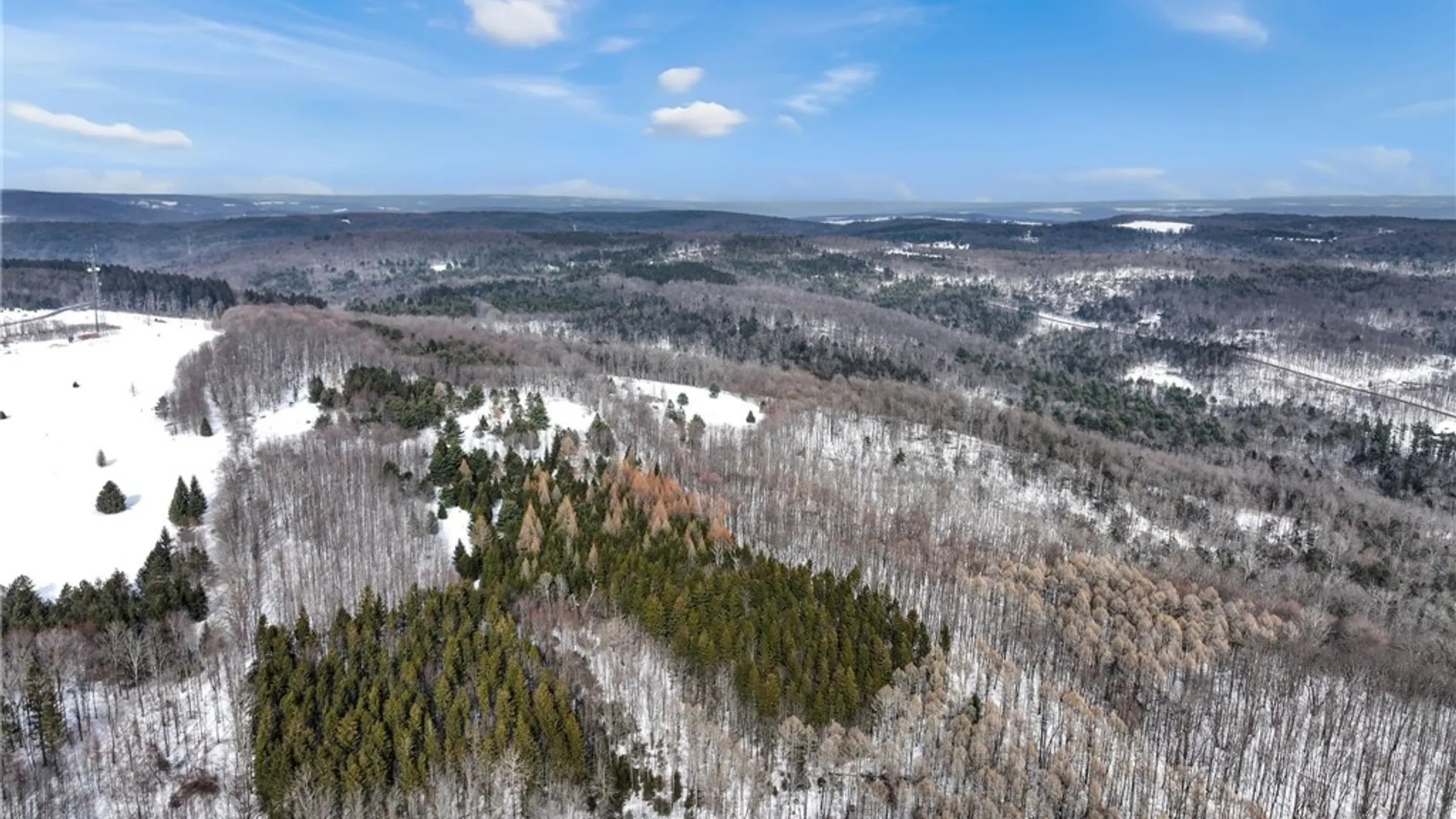 Property at 169 Irish Hill Road, Newfield, NY 14867 6