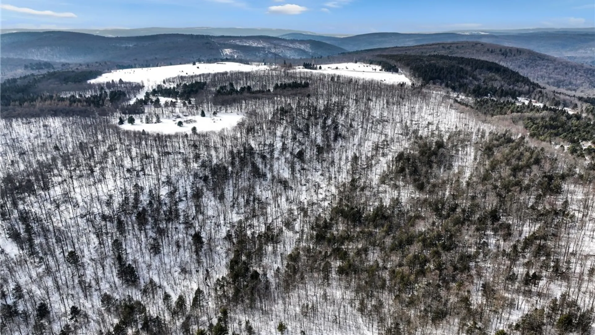 Property at 169 Irish Hill Road, Newfield, NY 14867 7