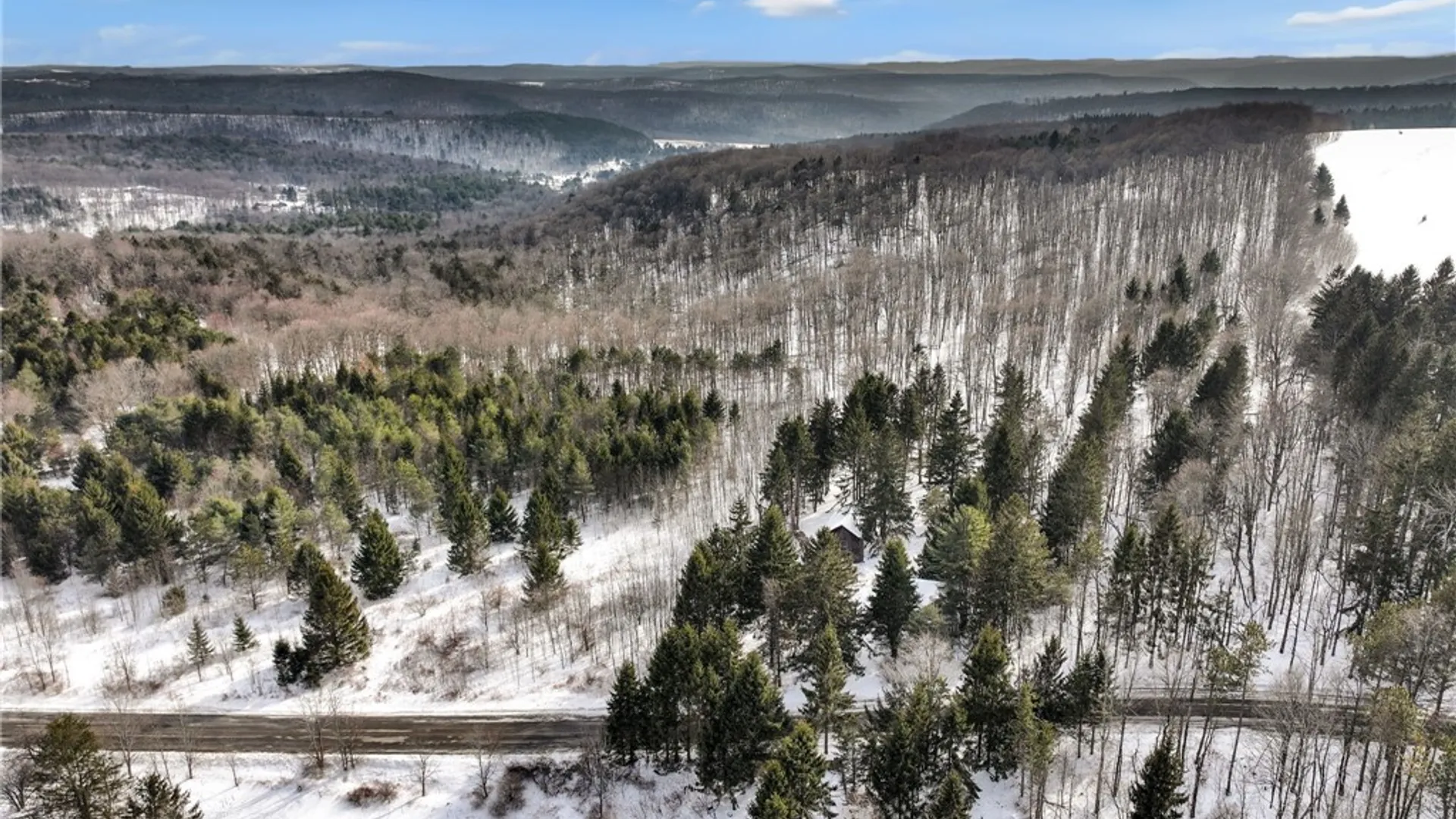 Property at 169 Irish Hill Road, Newfield, NY 14867 8