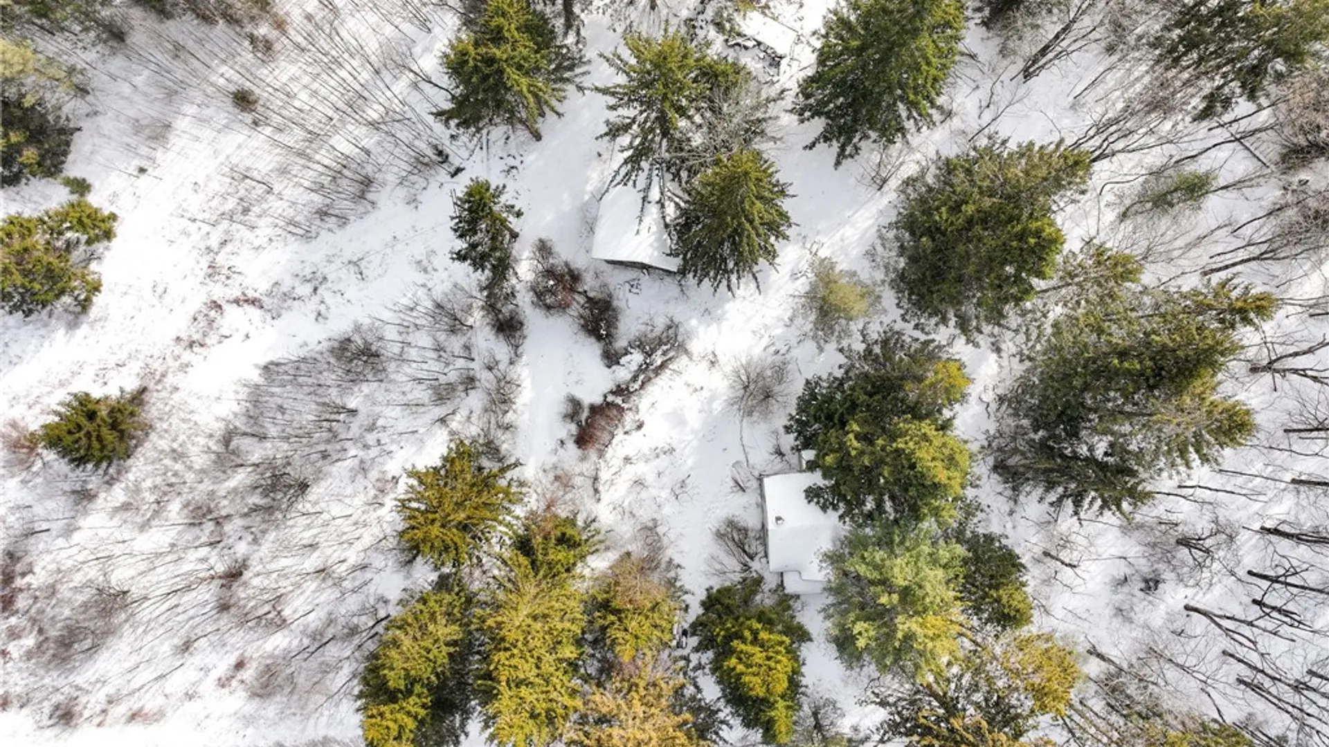 Property at 169 Irish Hill Road, Newfield, NY 14867 9