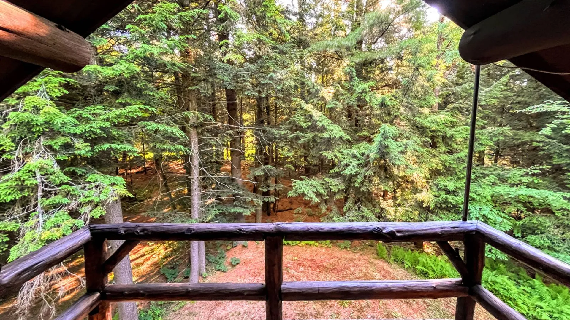 Property at 00 White Pine Lane/pvt, Pitcairn, NY 13648 23