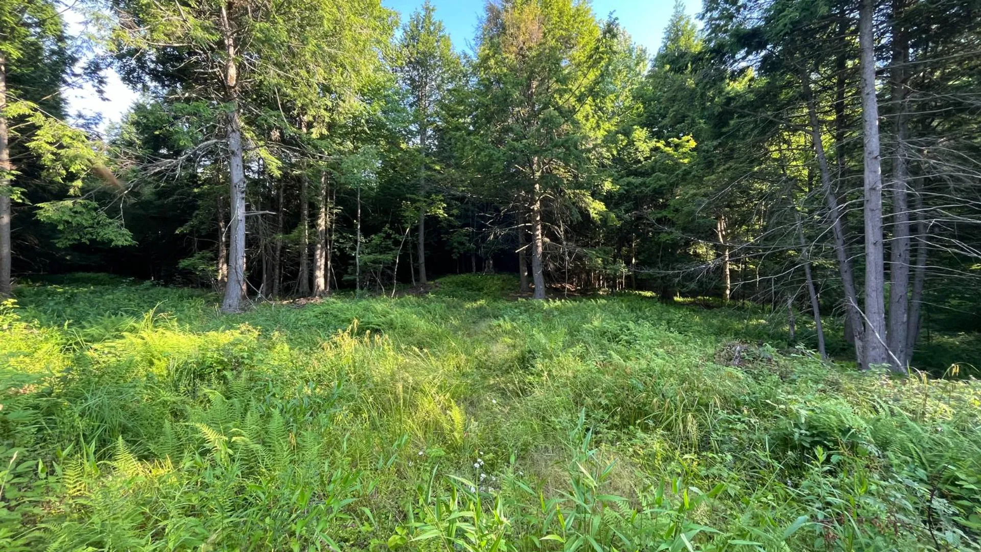 Property at 00 White Pine Lane/pvt, Pitcairn, NY 13648 30