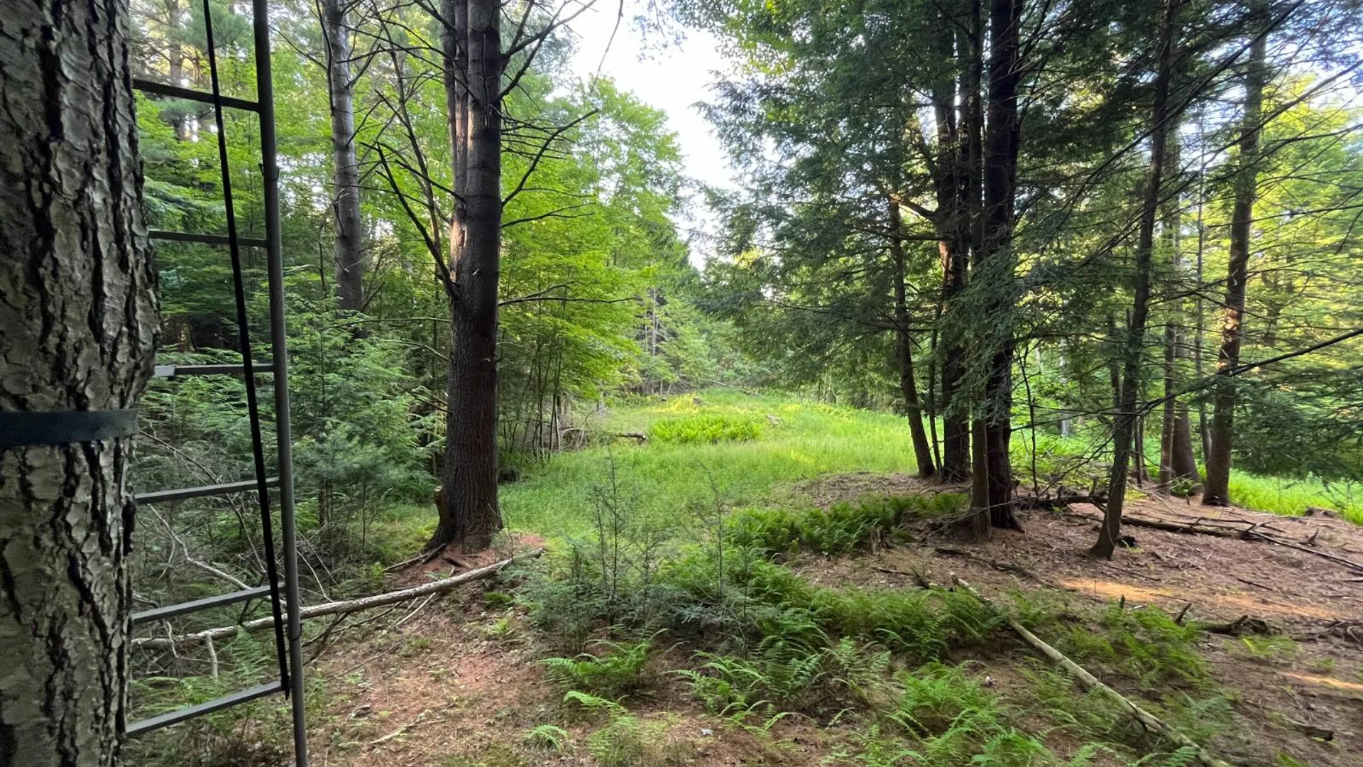 Property at 00 White Pine Lane/pvt, Pitcairn, NY 13648 32