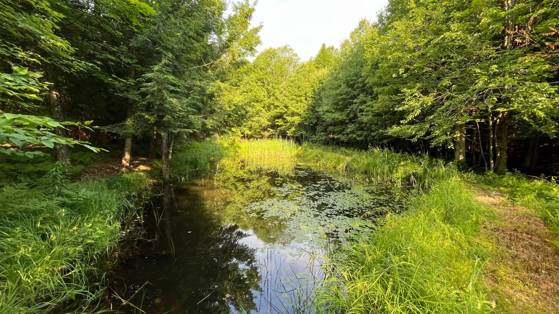 Property at 00 White Pine Lane/pvt, Pitcairn, NY 13648 34