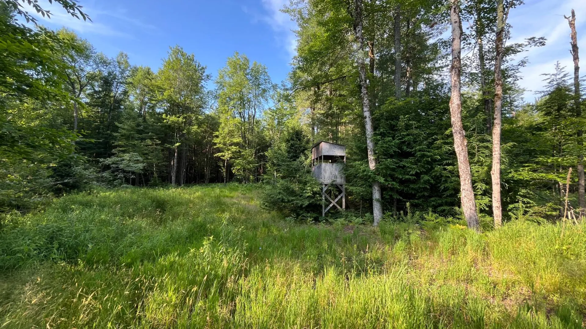 Property at 00 White Pine Lane/pvt, Pitcairn, NY 13648 38