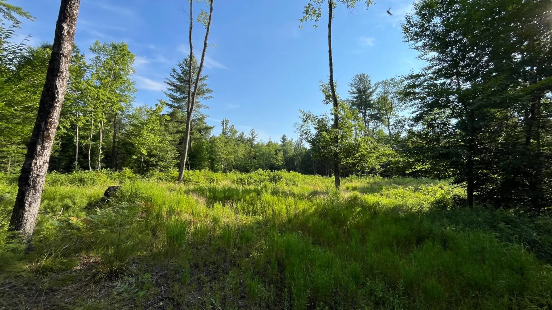 Property at 00 White Pine Lane/pvt, Pitcairn, NY 13648 39